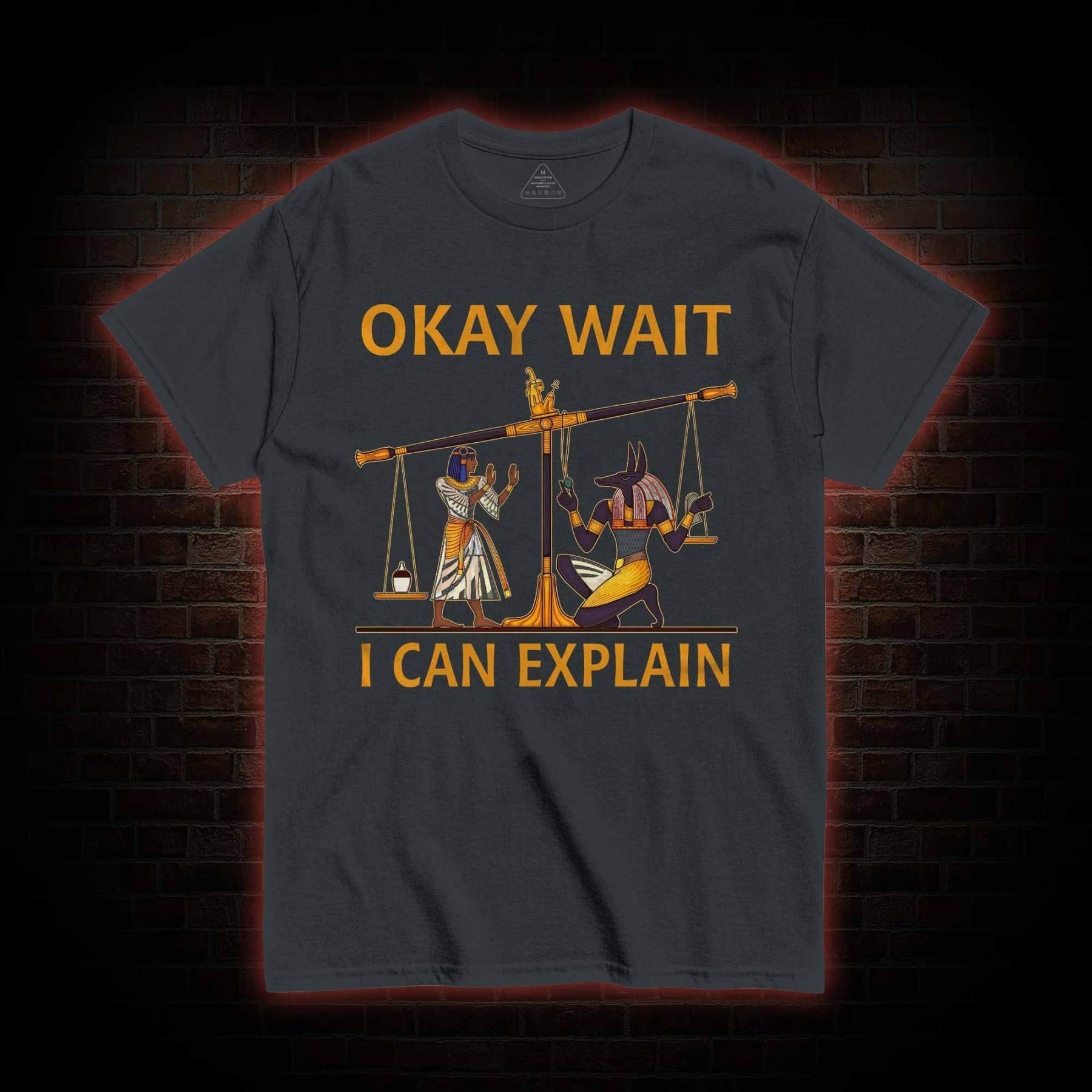 Okay Wait I can Explain T-shirt