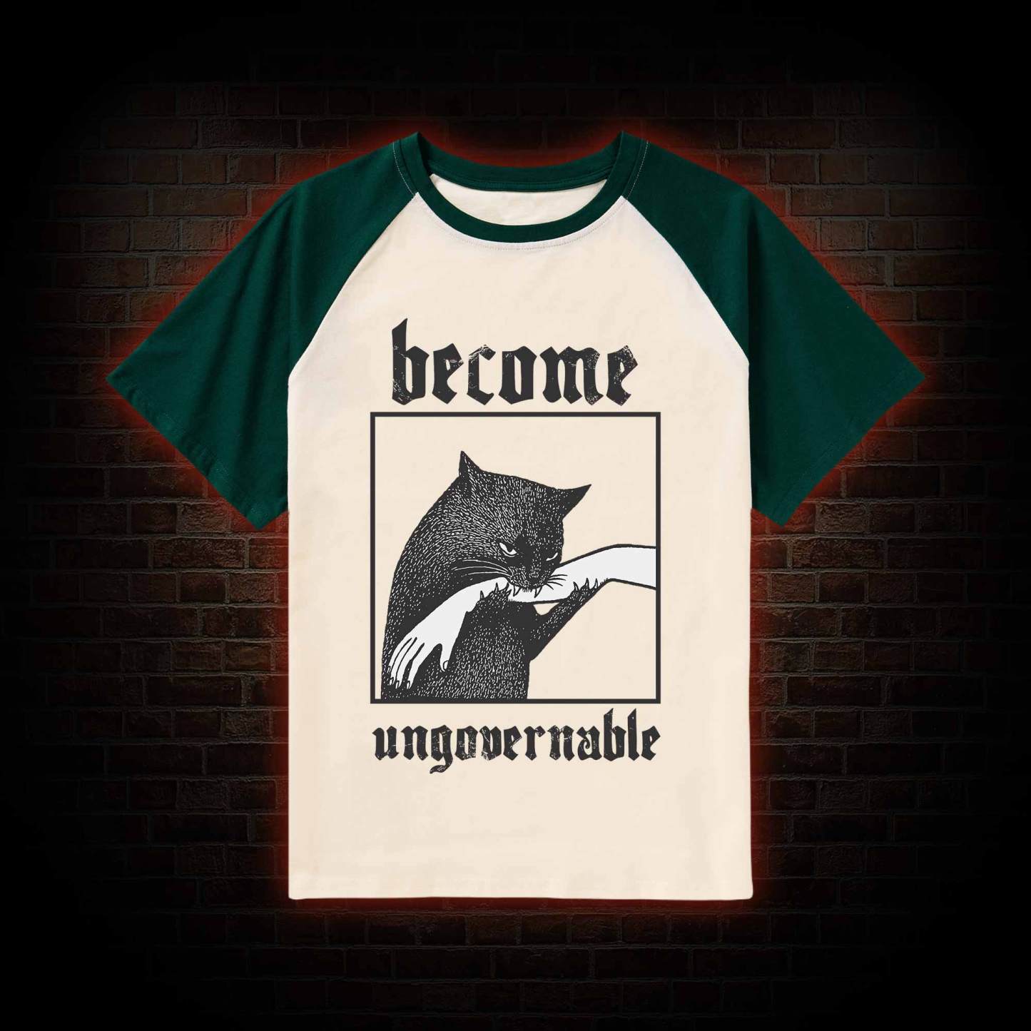 Silly Cats Raglan T-shirt