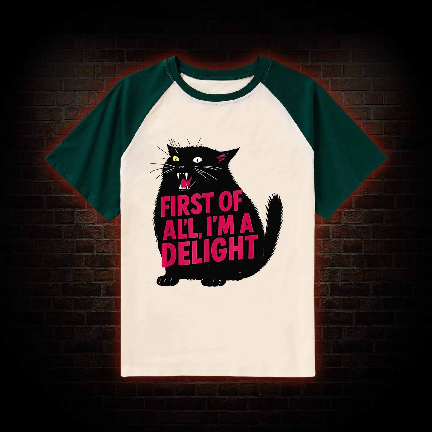 First of all I'm a Delight Raglan T-shirt