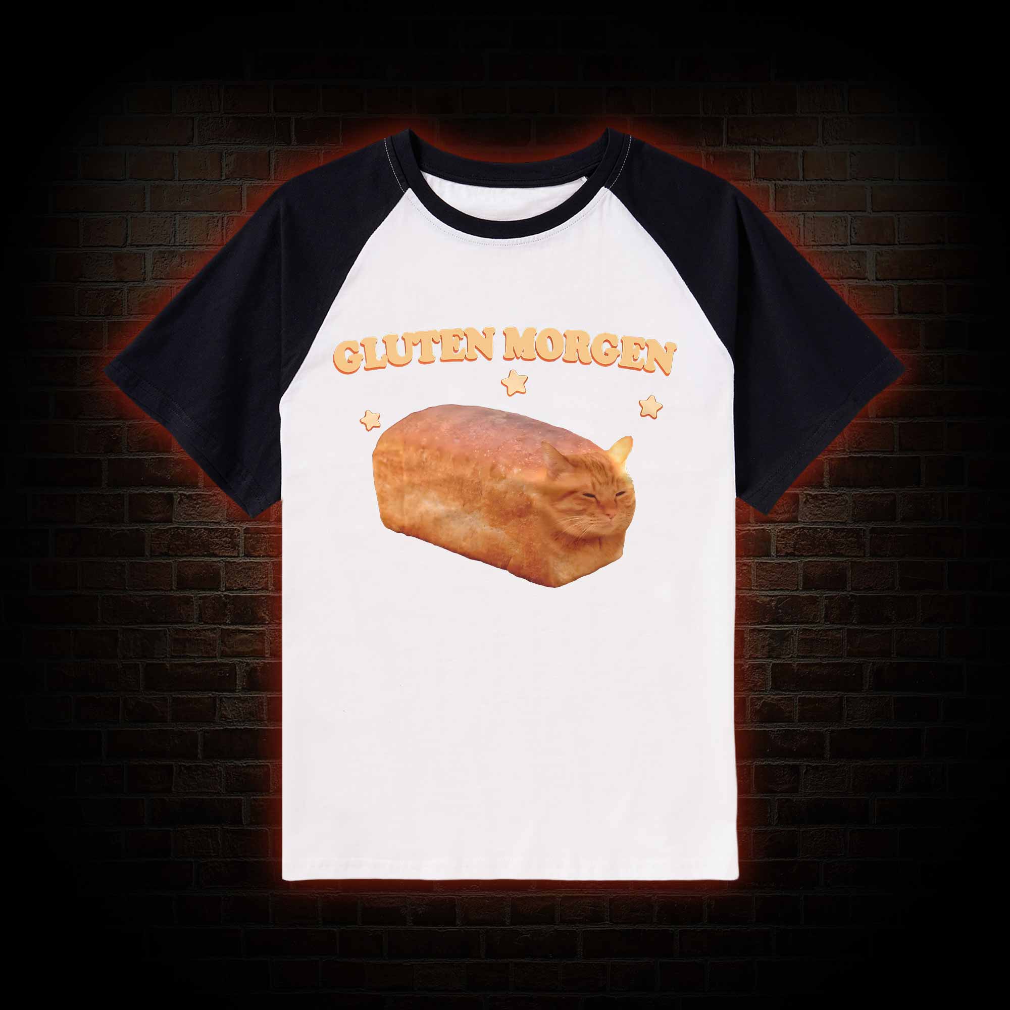 Silly Cats Raglan T-shirt