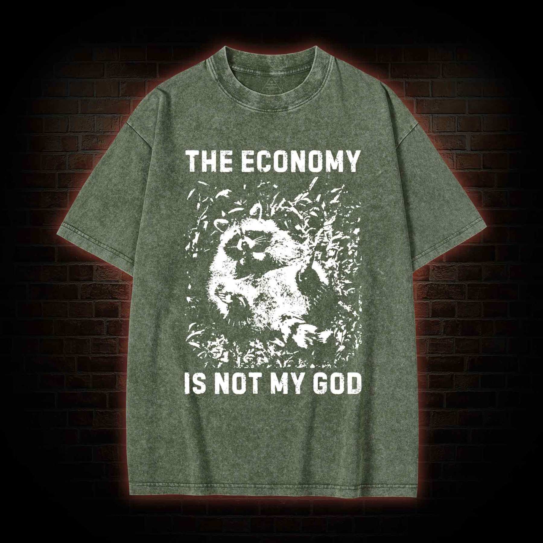 Anarchist Raccoon Economy is Not My God Washed T-shirt