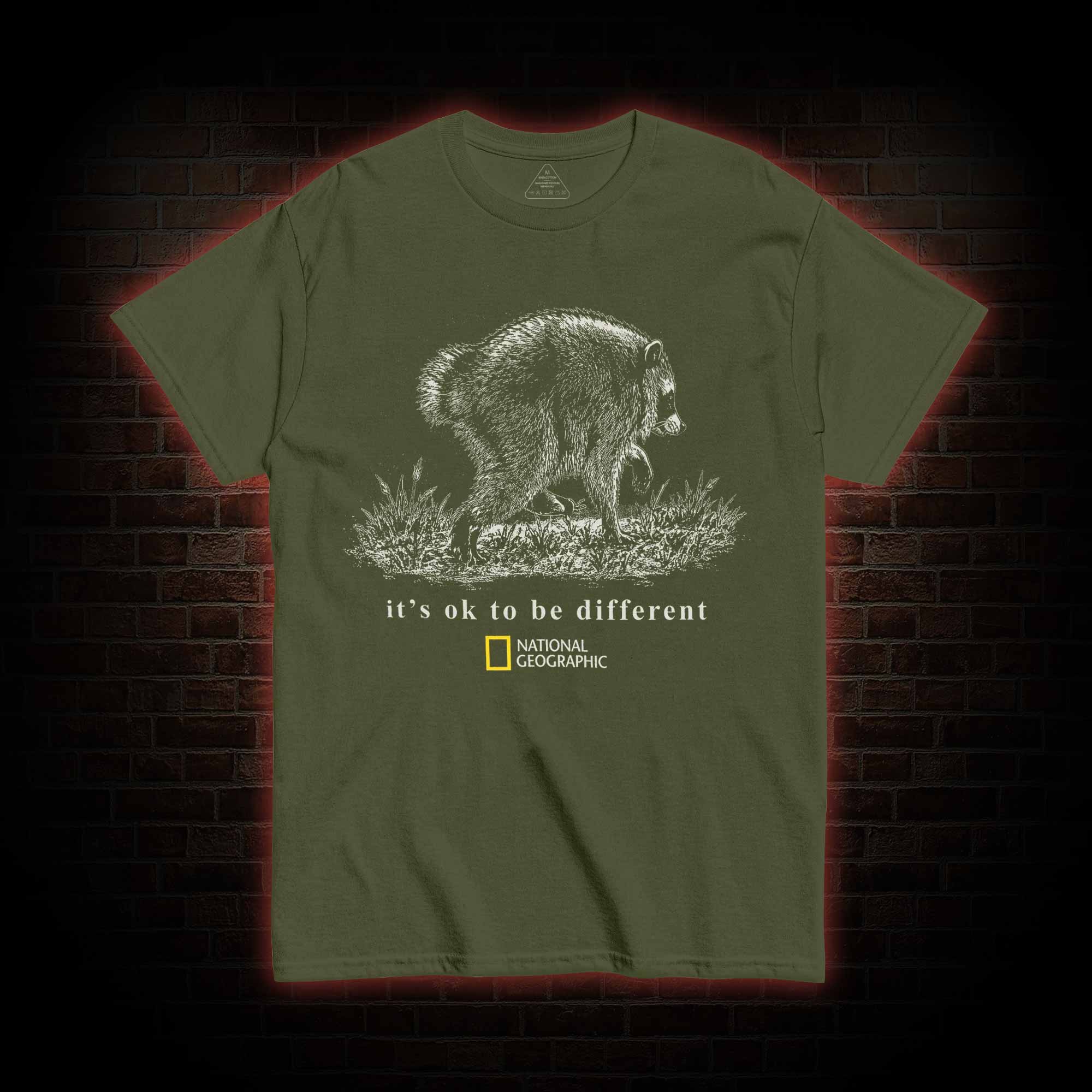 It's Ok to be Different Jimothy  T-shirt