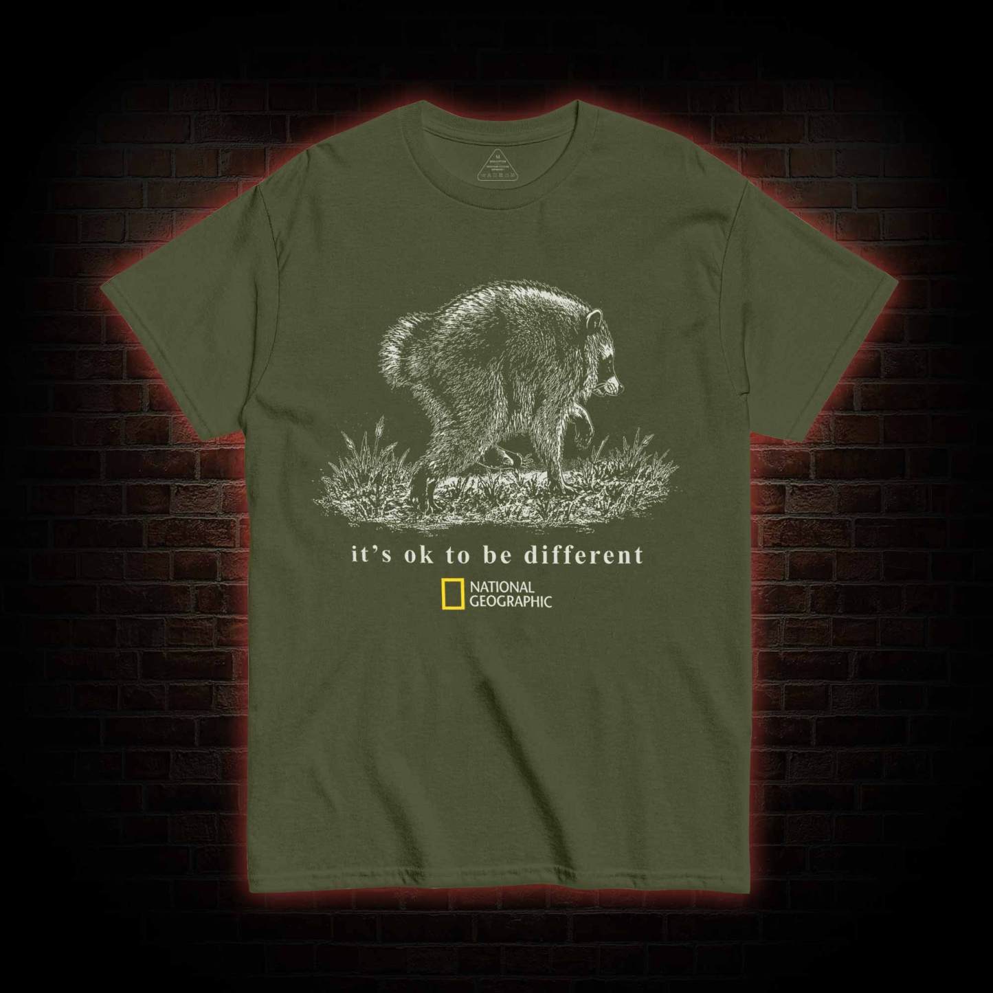 It's Ok to be Different Jimothy  T-shirt