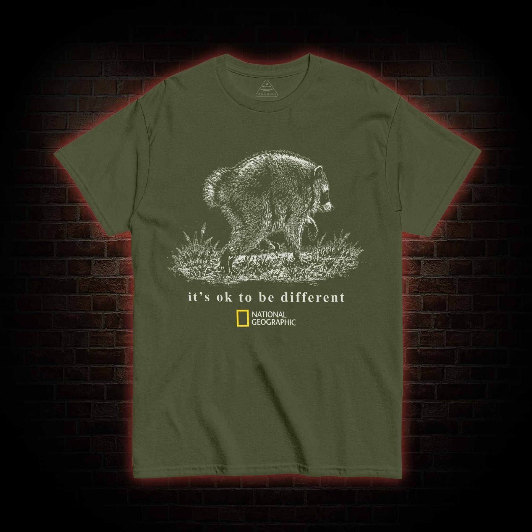 It's Ok to be Different Jimothy  T-shirt