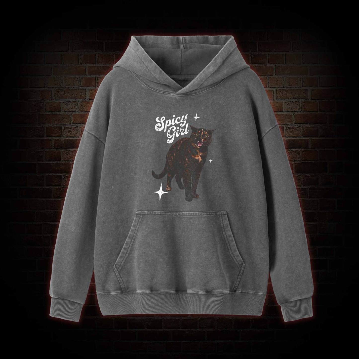Spicy Girl Washed Hoodie