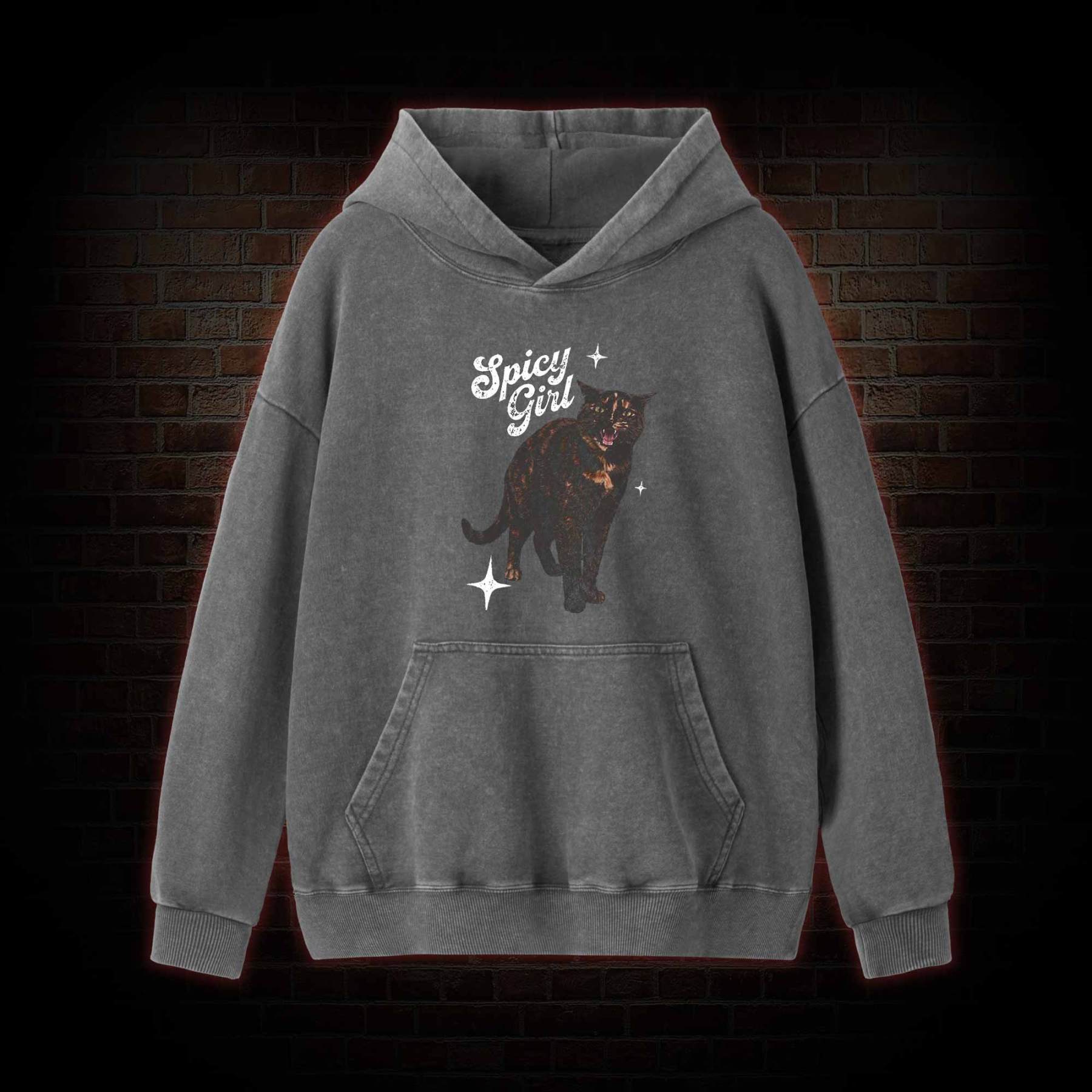 Spicy Girl Washed Hoodie