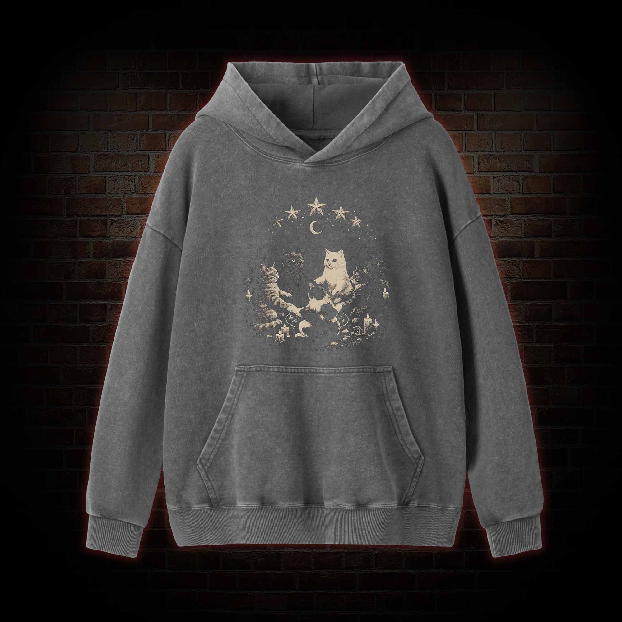 Cat Ritual Washed Hoodie