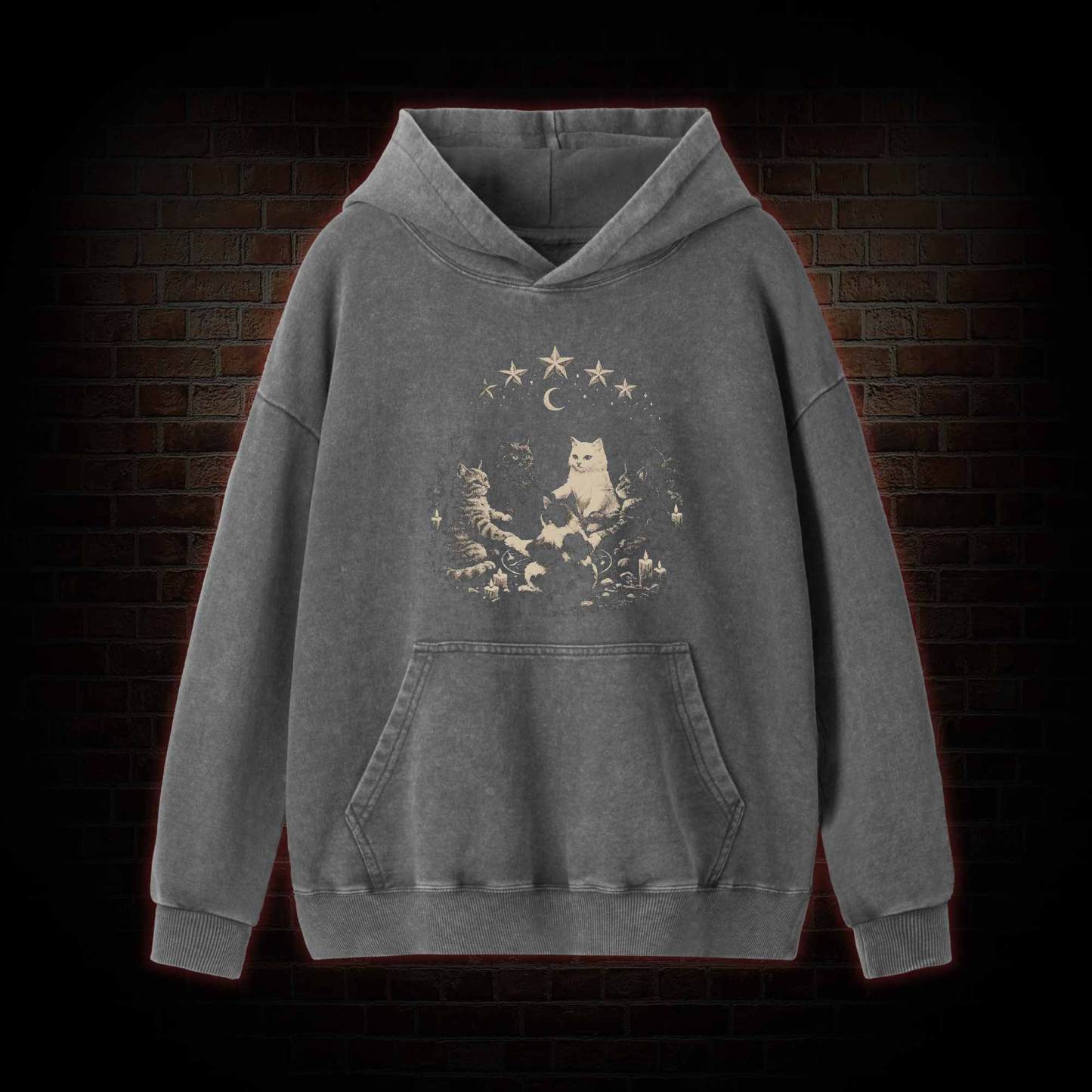Cat Ritual Washed Hoodie