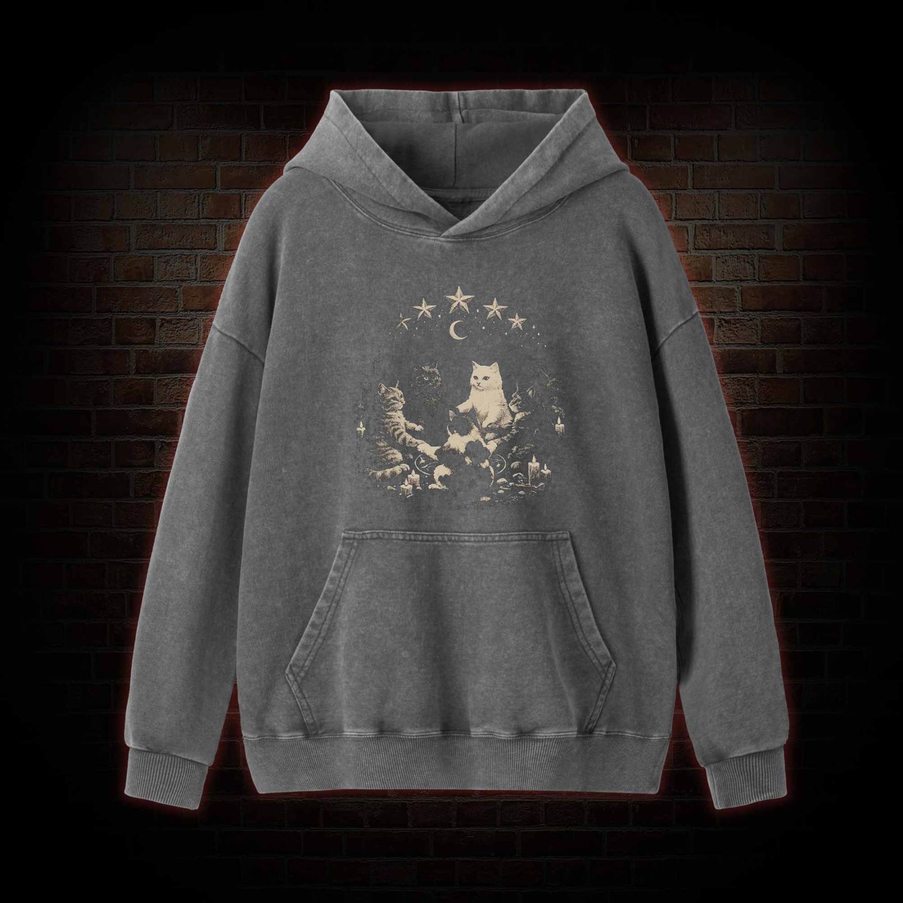 Cat Ritual Washed Hoodie