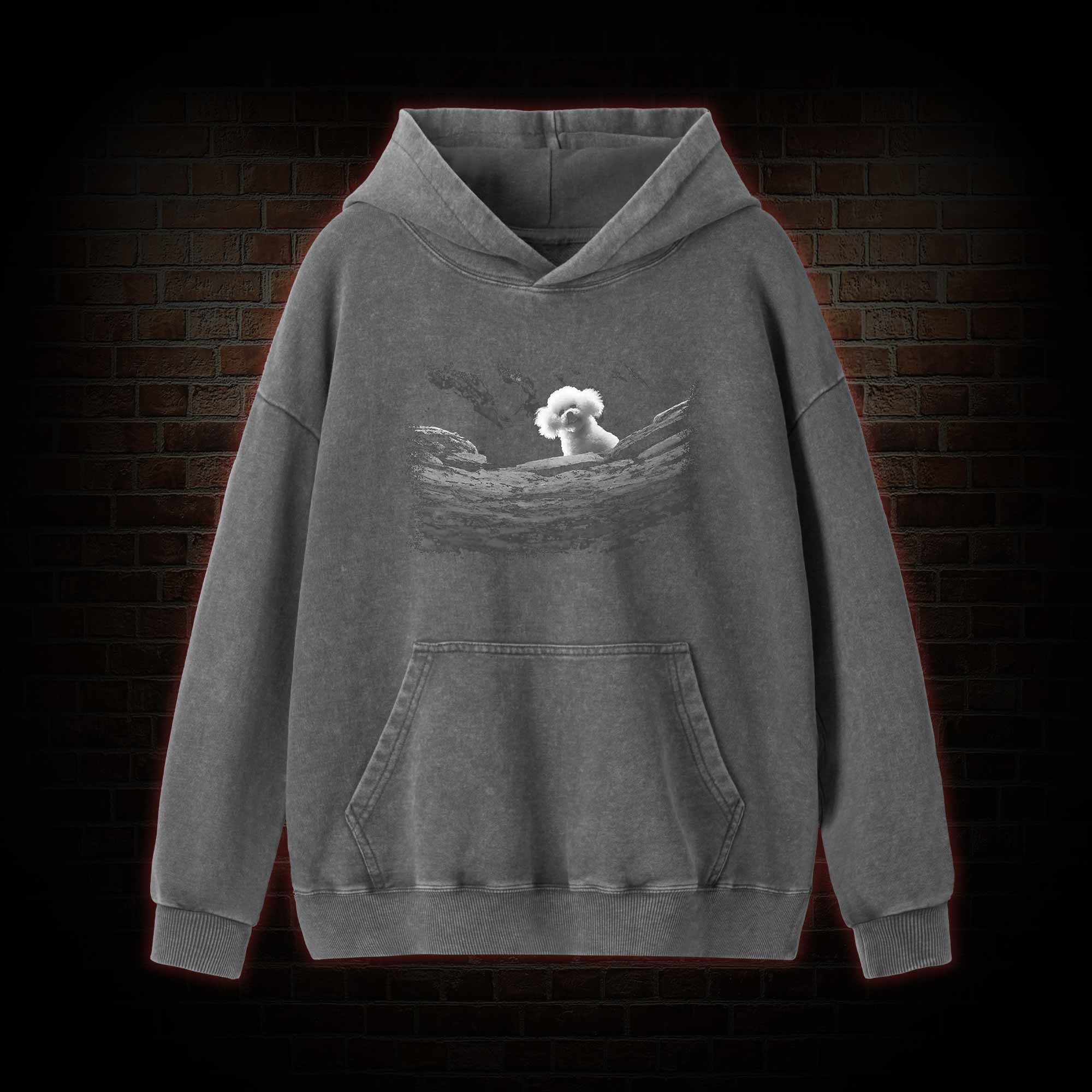 Precious Dog Washed Hoodie