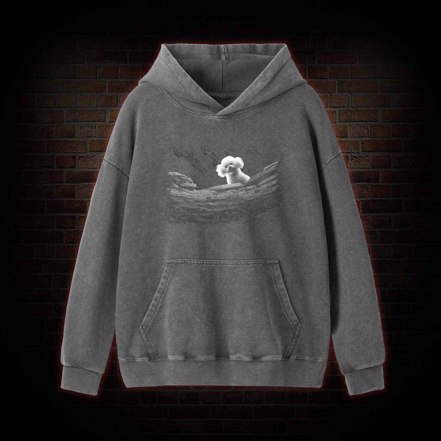 Precious Dog Washed Hoodie