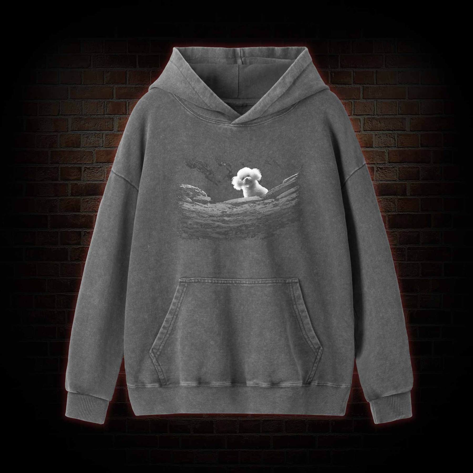 Precious Dog Washed Hoodie