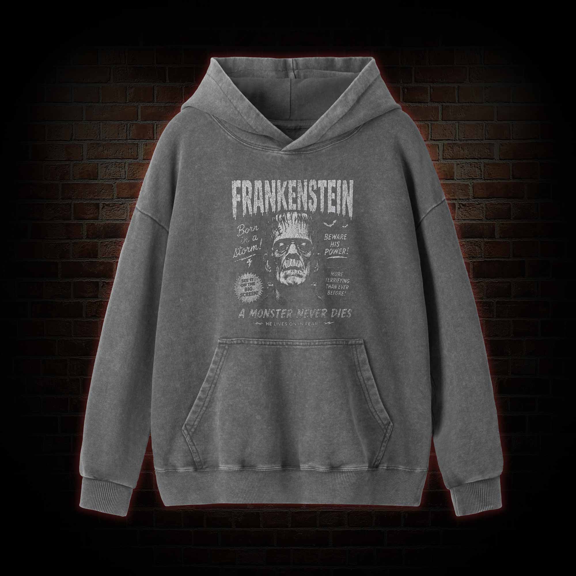 Born in a Storm Washed Hoodie