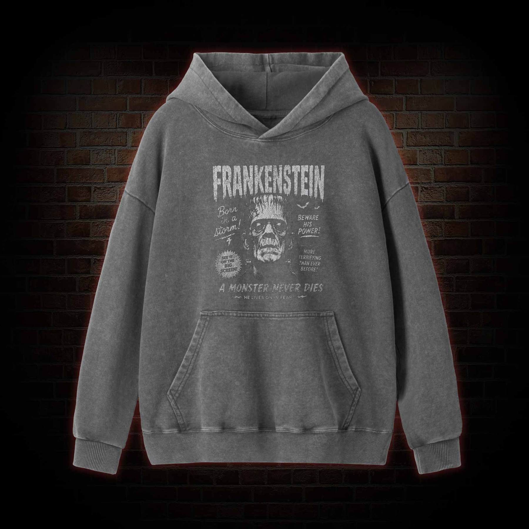 Born in a Storm Washed Hoodie