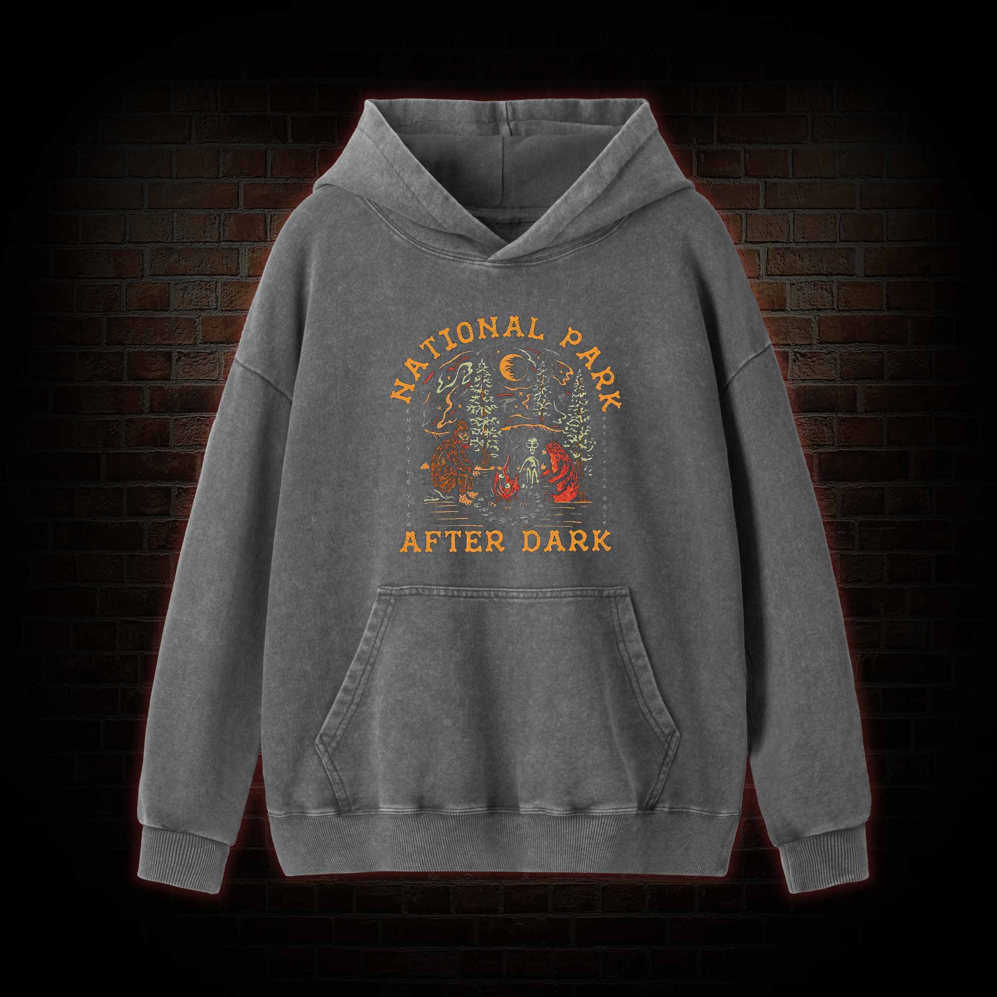 National Park After Dark Washed Hoodie