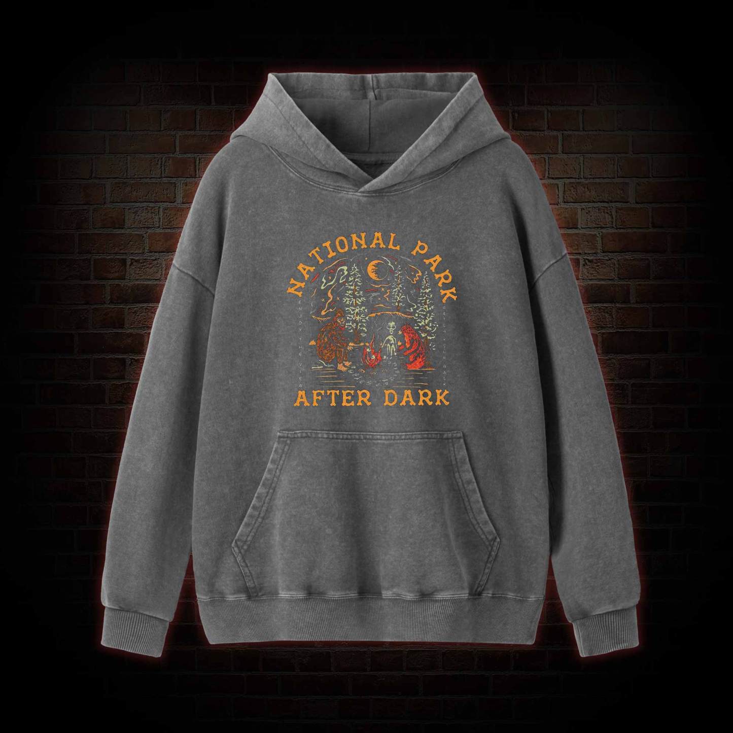 National Park After Dark Washed Hoodie
