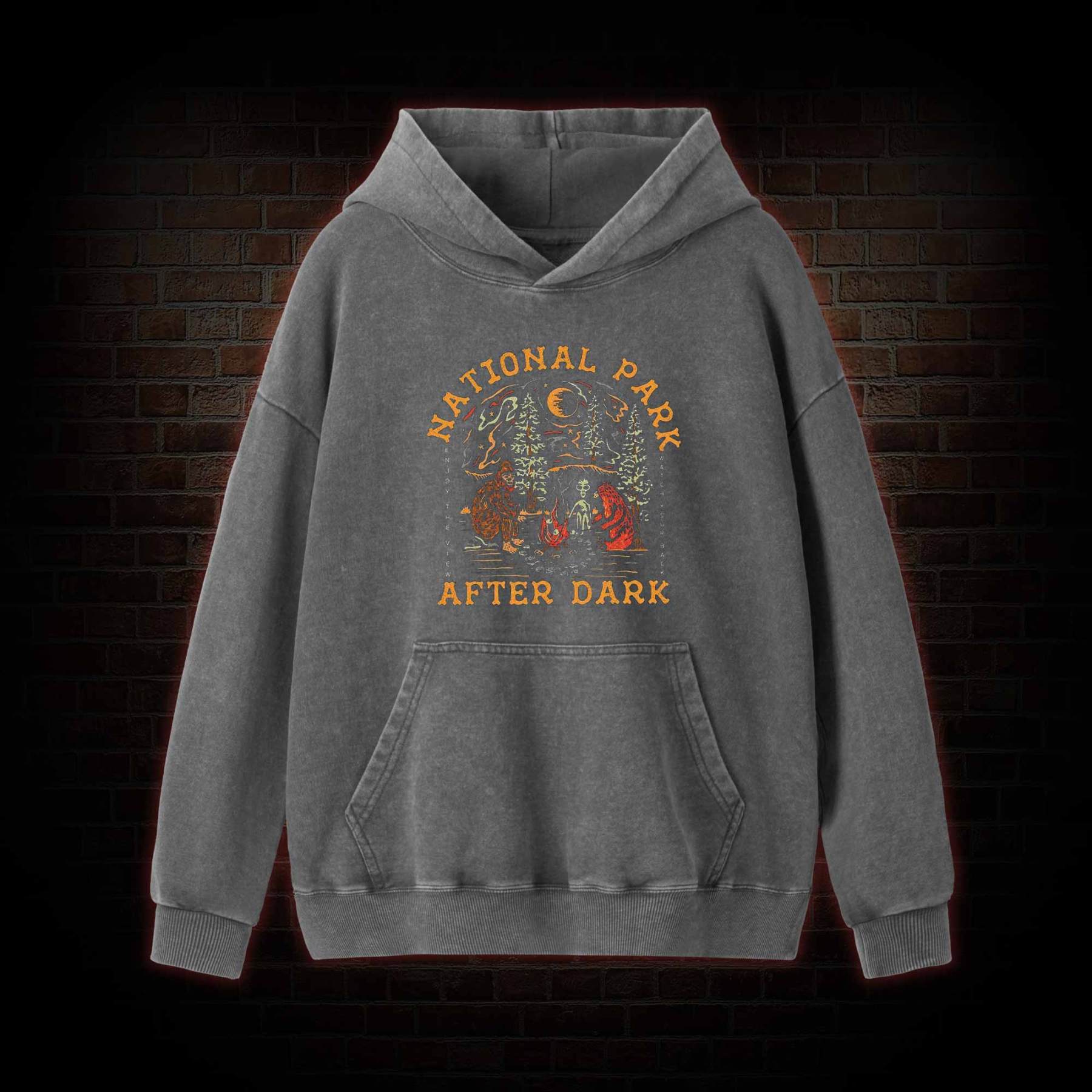 National Park After Dark Washed Hoodie