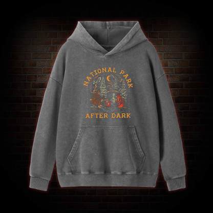National Park After Dark Washed Hoodie