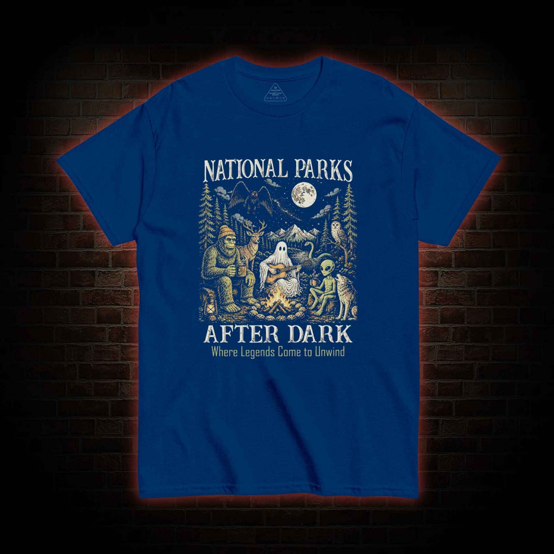 National Parks After Dark T-shirt
