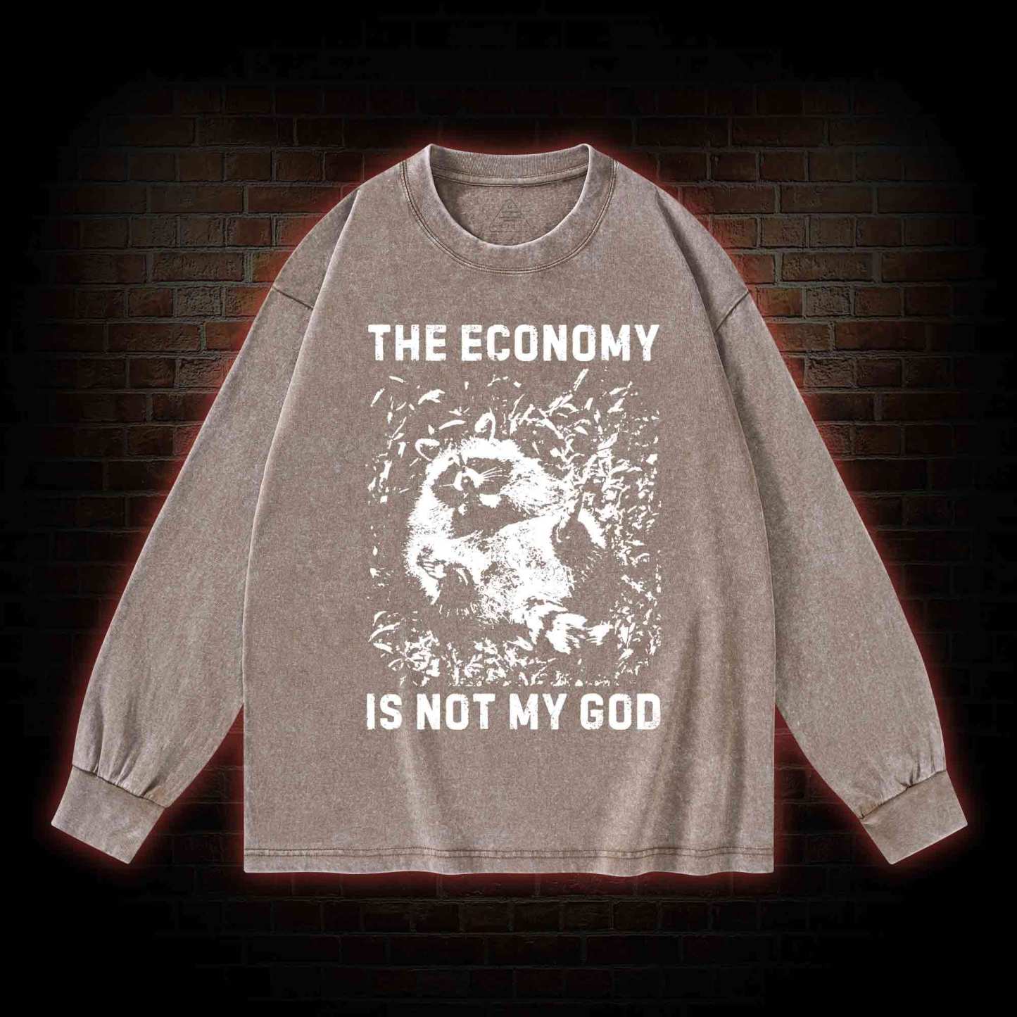 Anarchist Raccoon Economy is Not My God Washed Long-Sleeve T-shirt