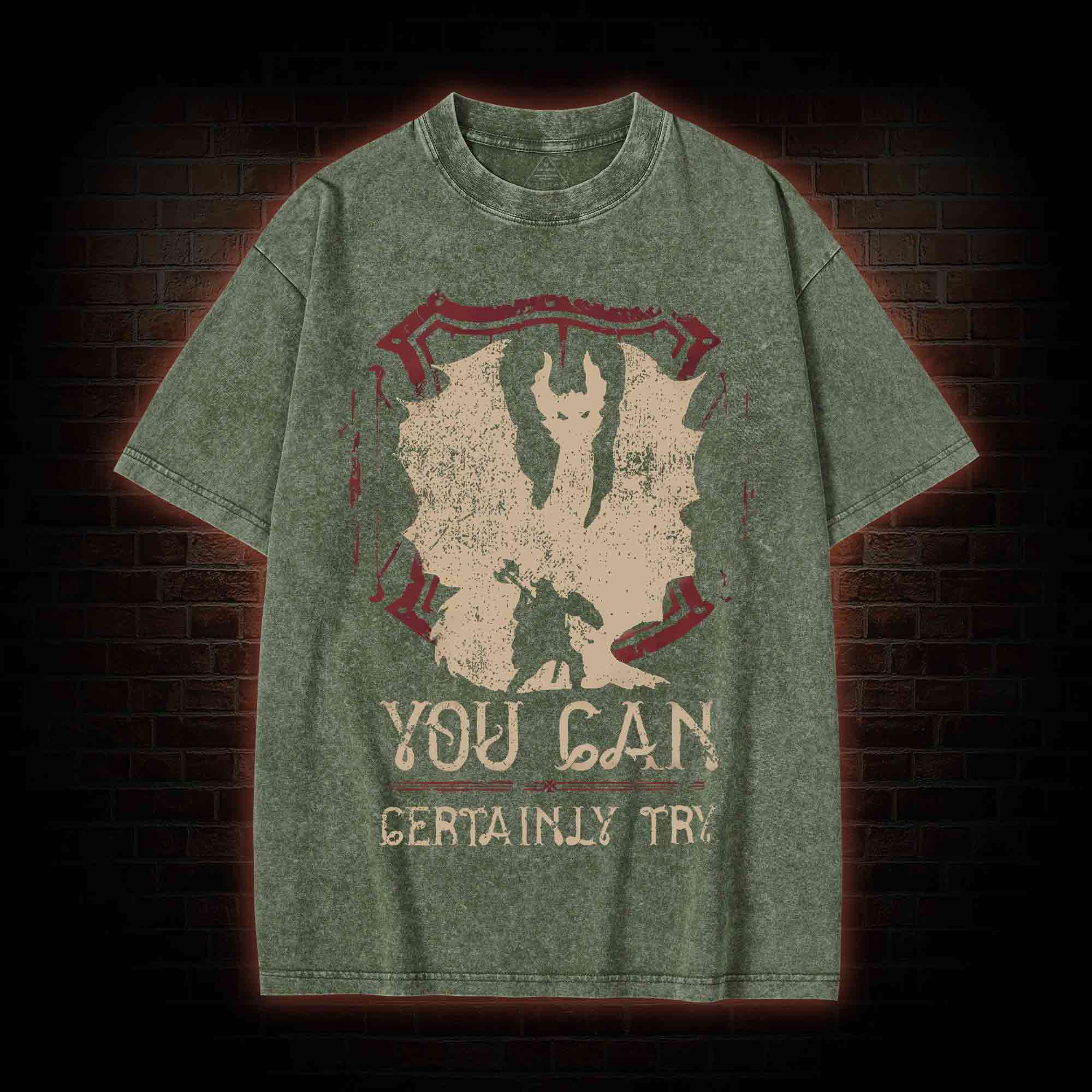 You Can Certainly Try Washed T-shirt