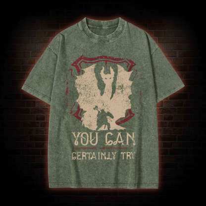 You Can Certainly Try Washed T-shirt