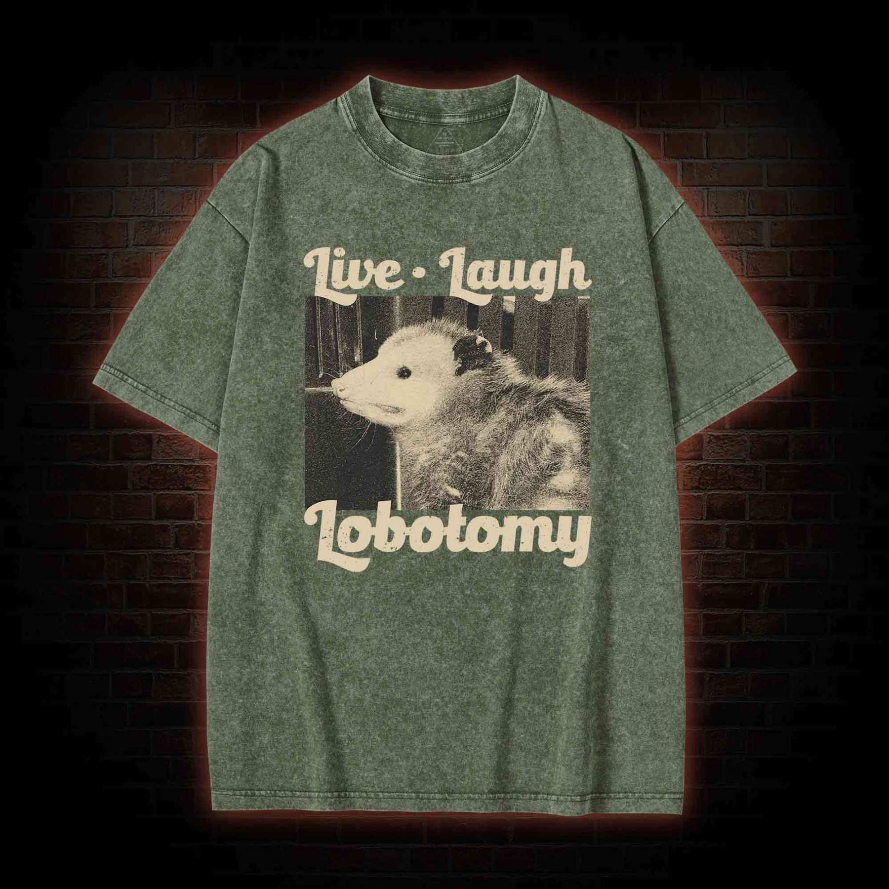 Live Laugh Lobotomy Washed T-shirt