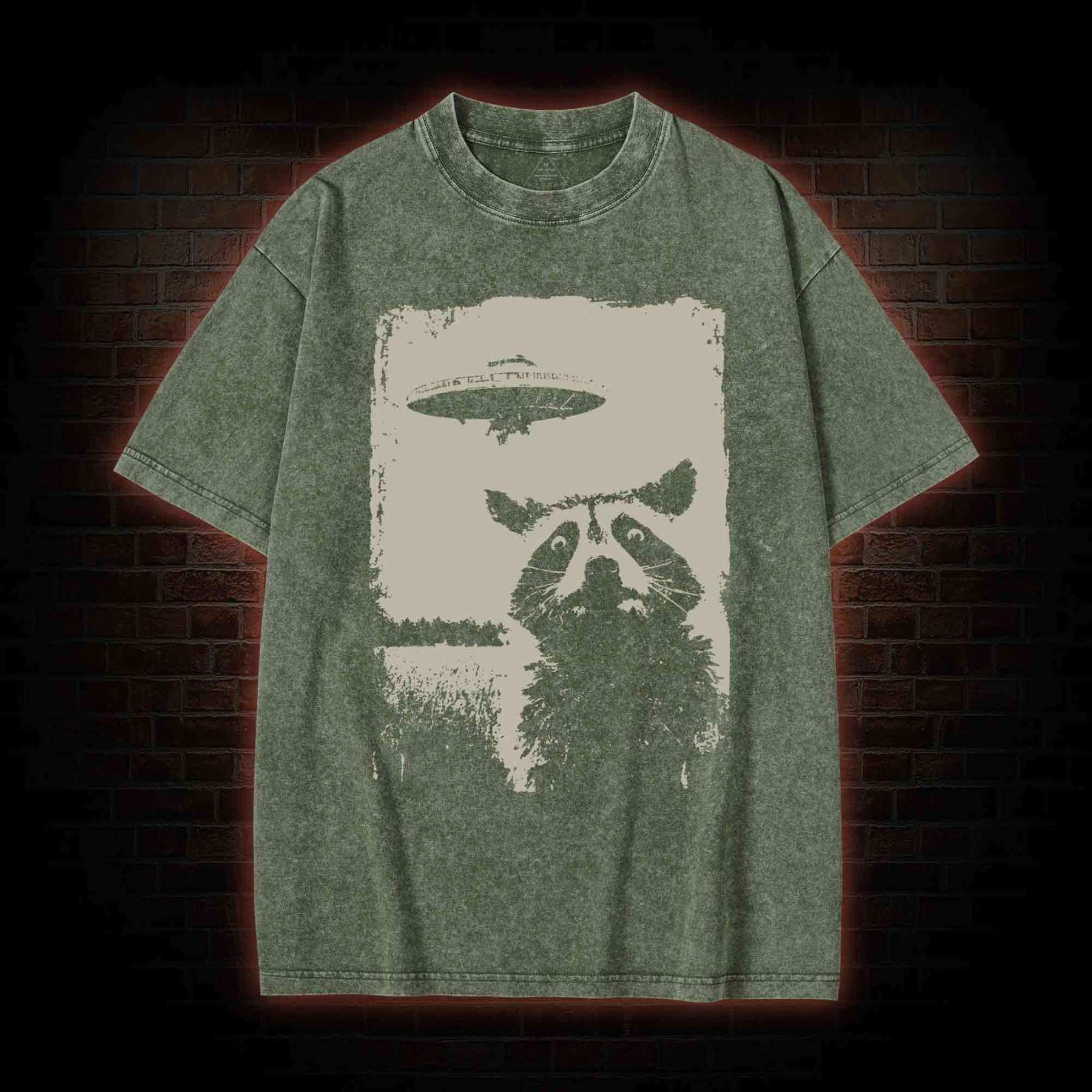 Raccoon UFO Washed T-shirt