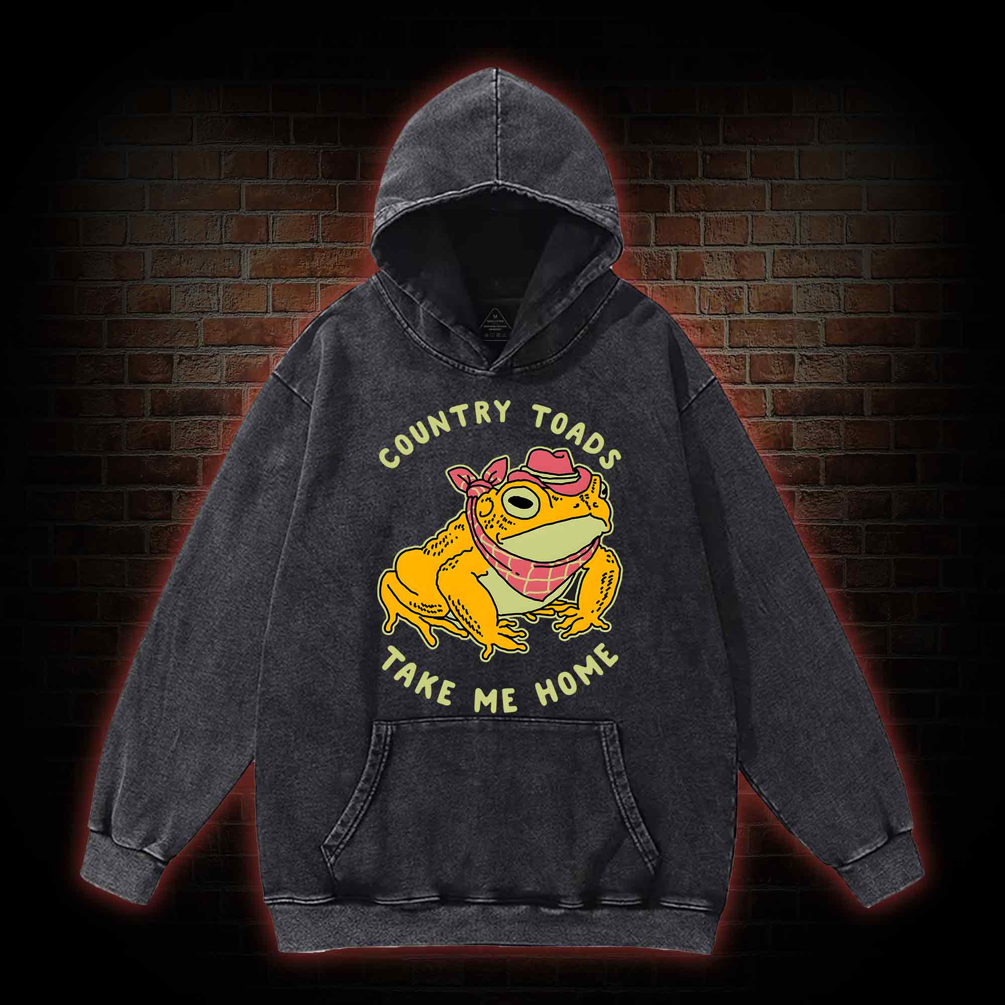 Country Toads Take Me Home Washed Hoodie