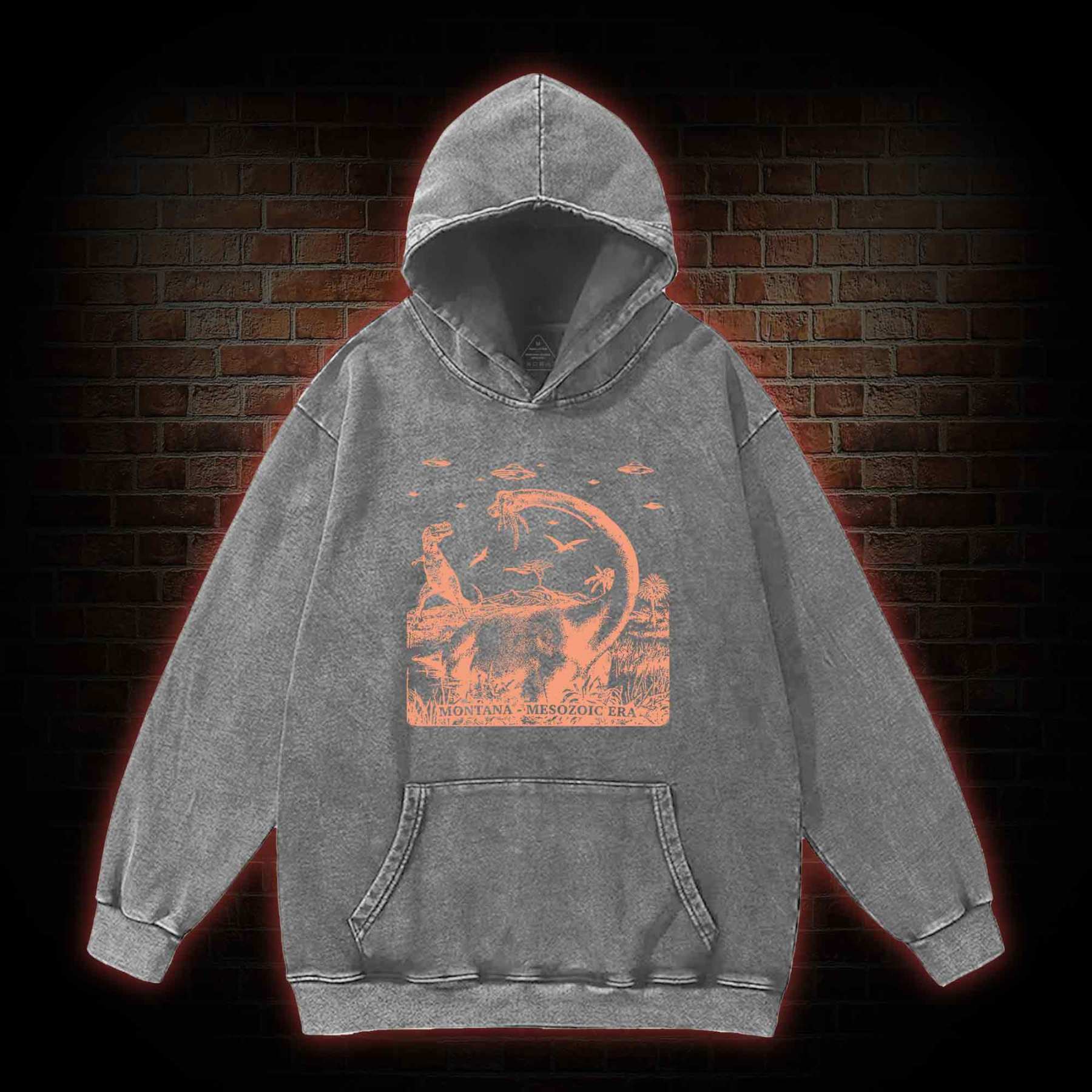Montana Mesozoic Era Washed Hoodie
