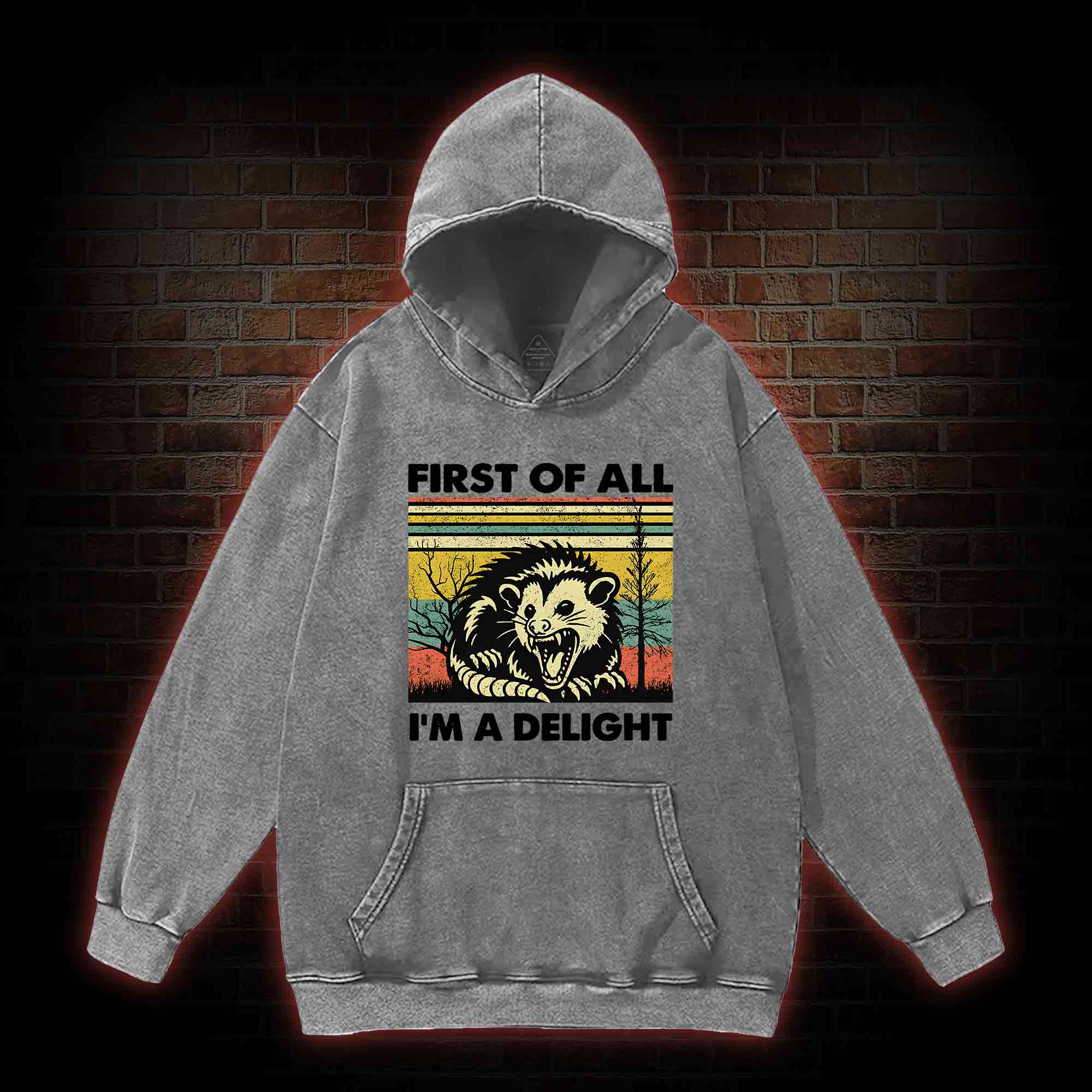 I'm A Delight Washed Hoodie