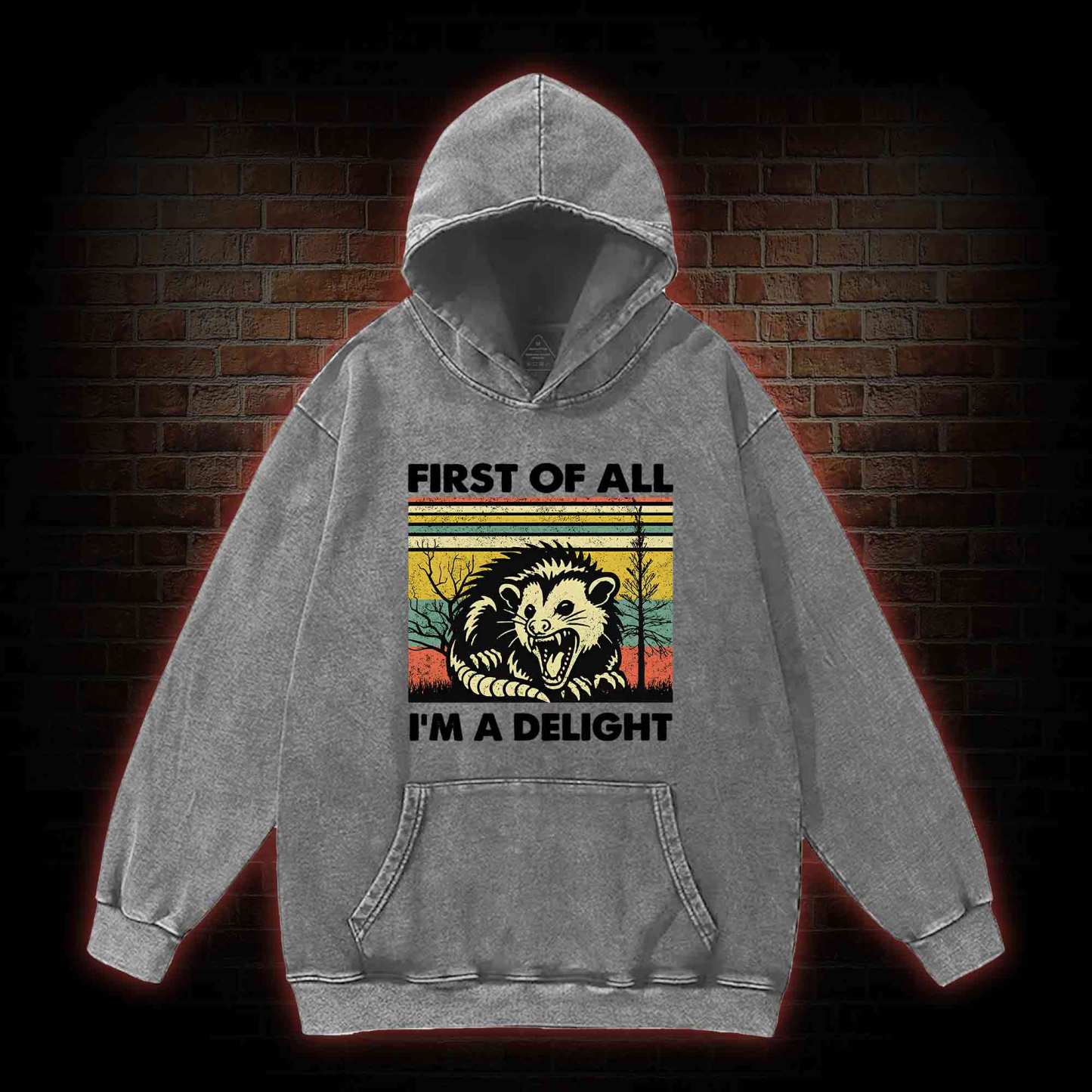 I'm A Delight Washed Hoodie