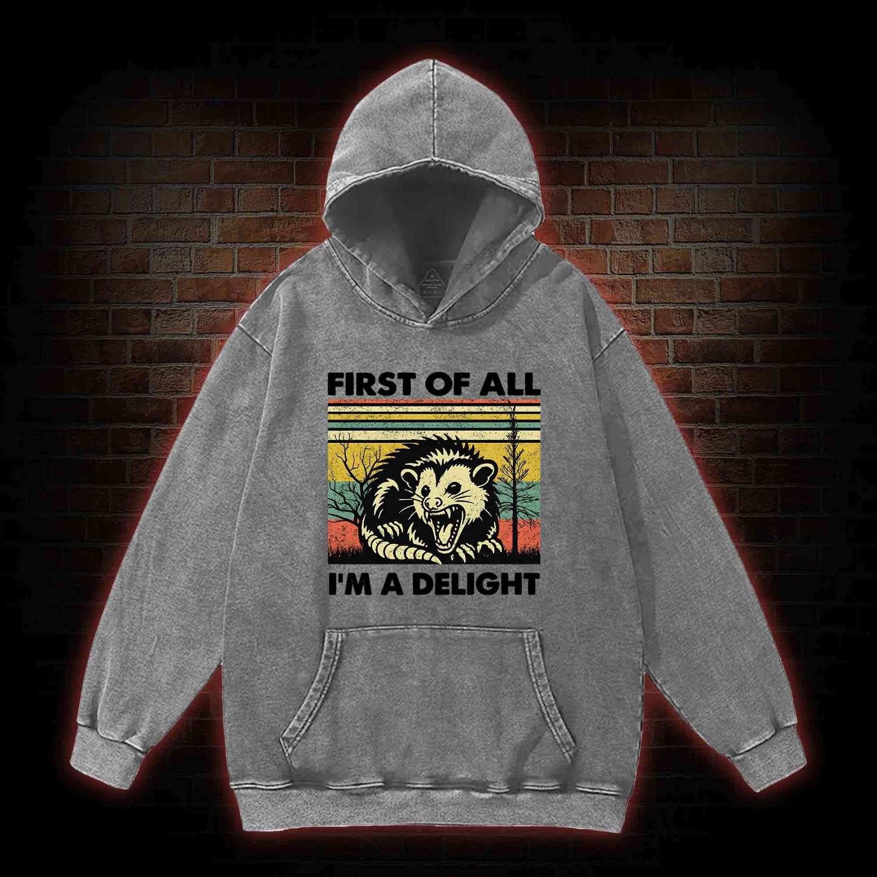 I'm A Delight Washed Hoodie