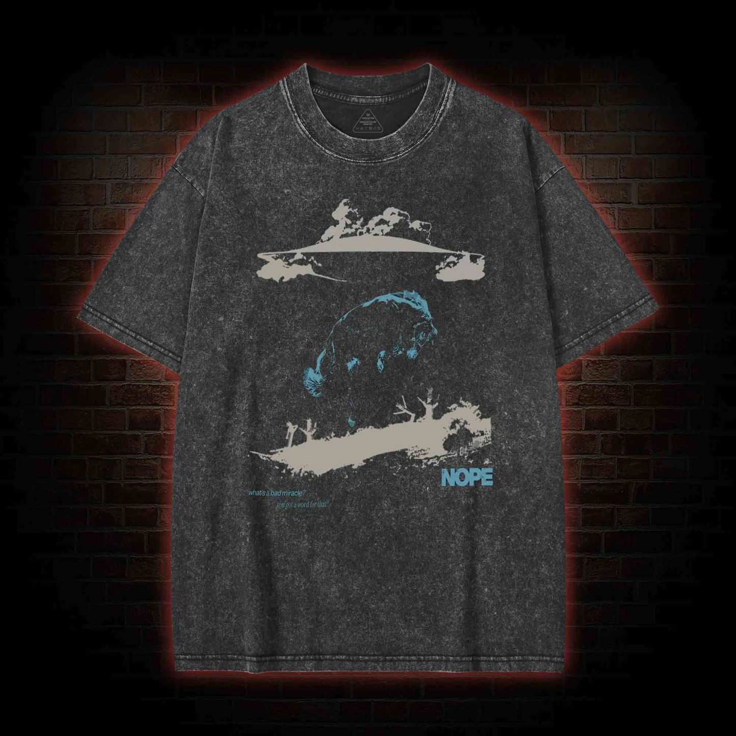 You Got A Word For That? Washed T-shirt