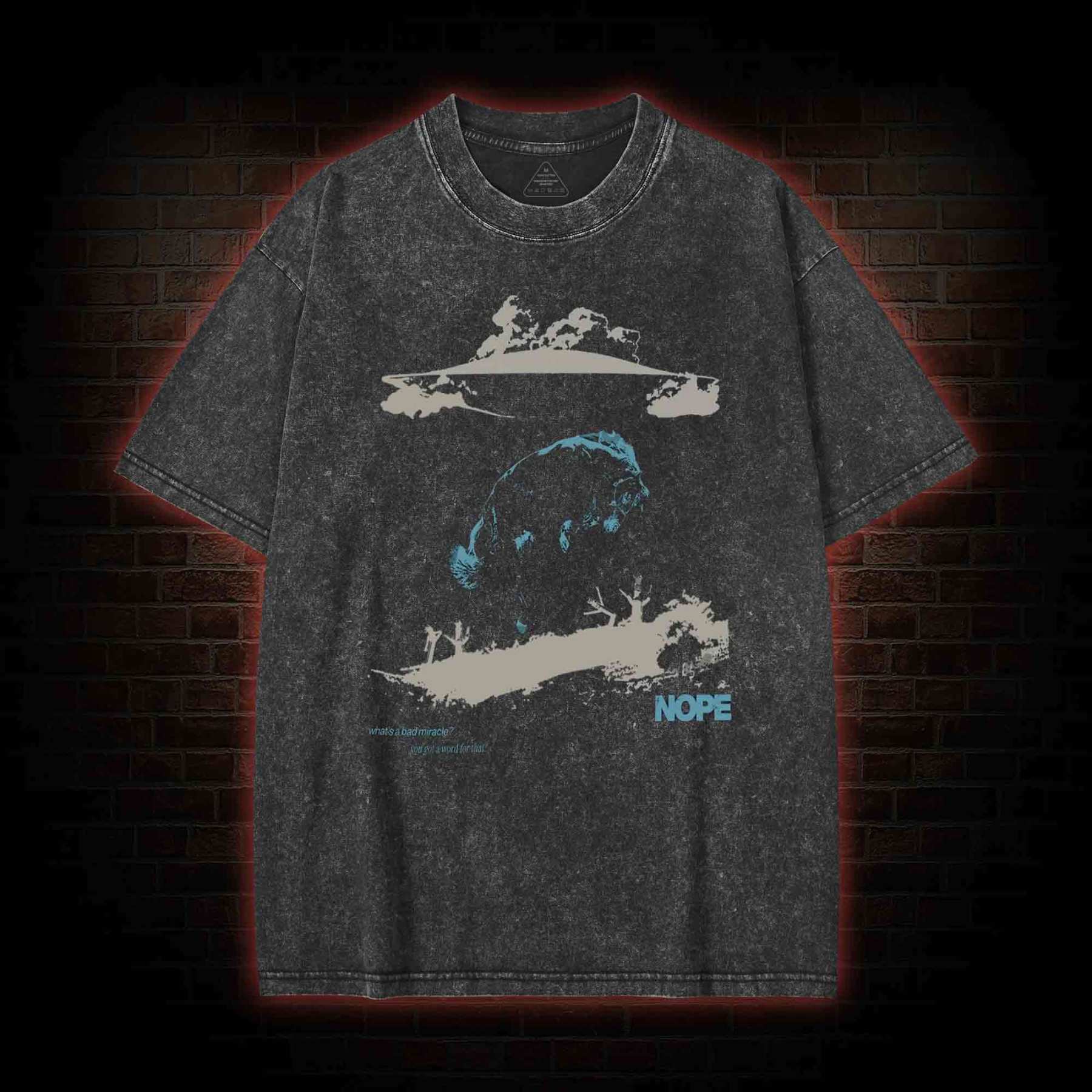 You Got A Word For That? Washed T-shirt