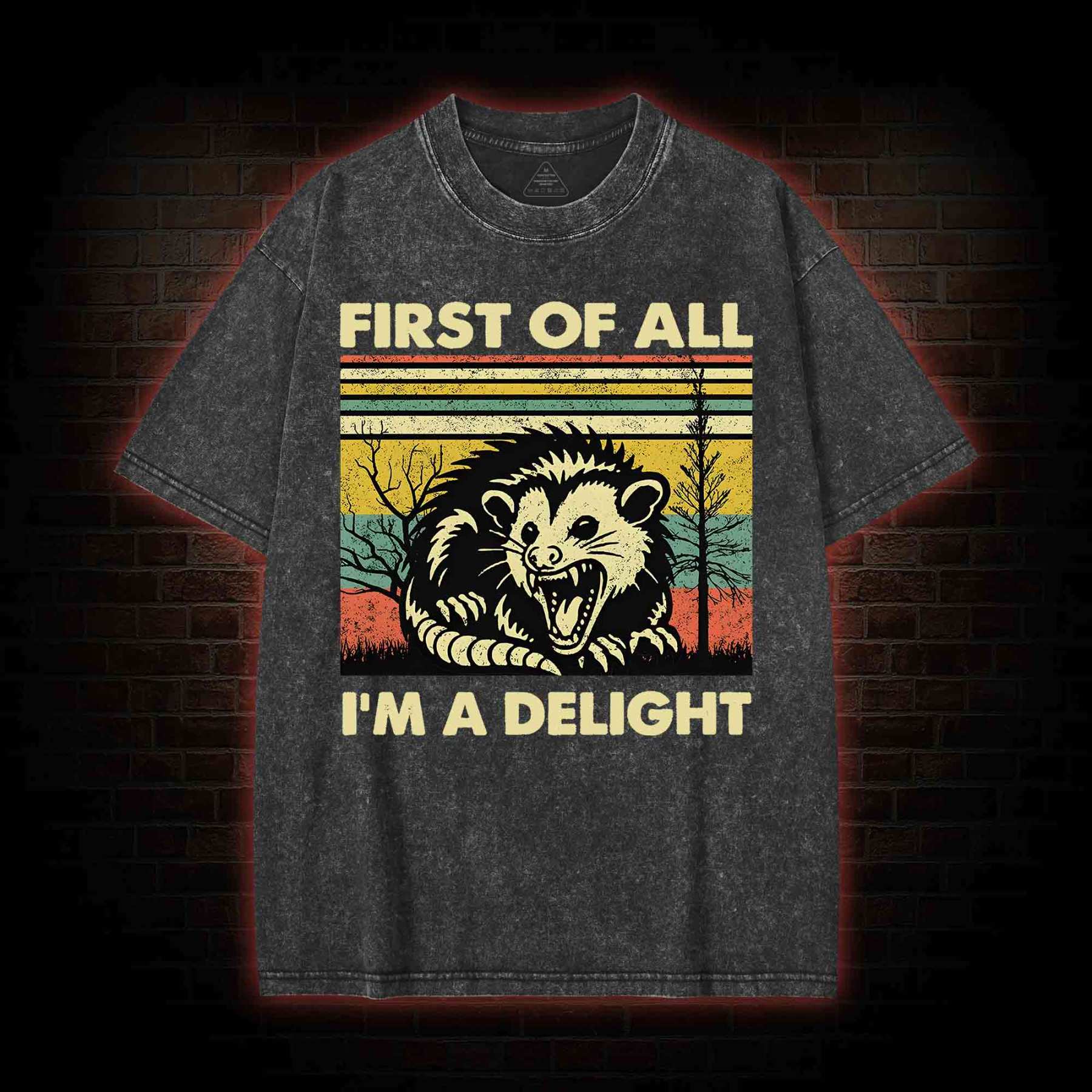 I'm A Delight Washed T-shirt
