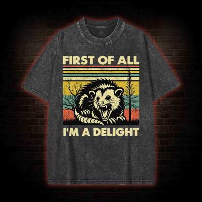 I'm A Delight Washed T-shirt