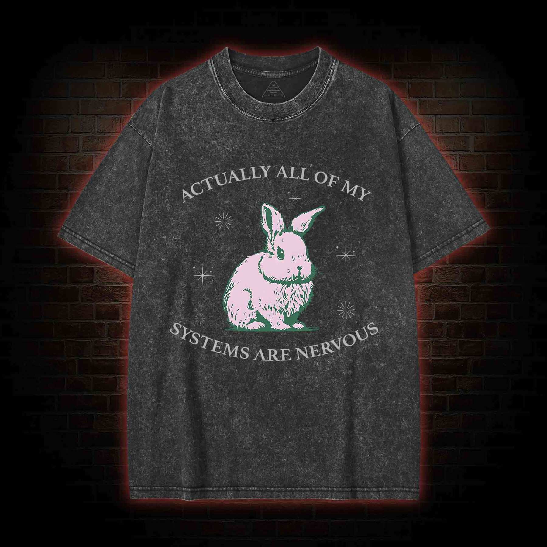 Actually All Of My Systems Are Nervous Washed T-shirt