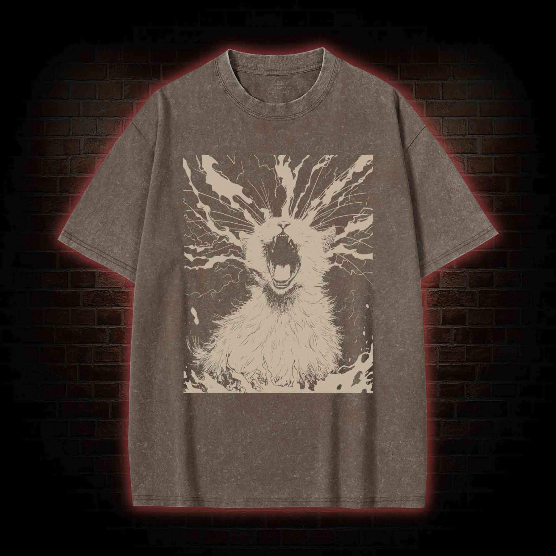 Black Cat Aether Washed T-shirt