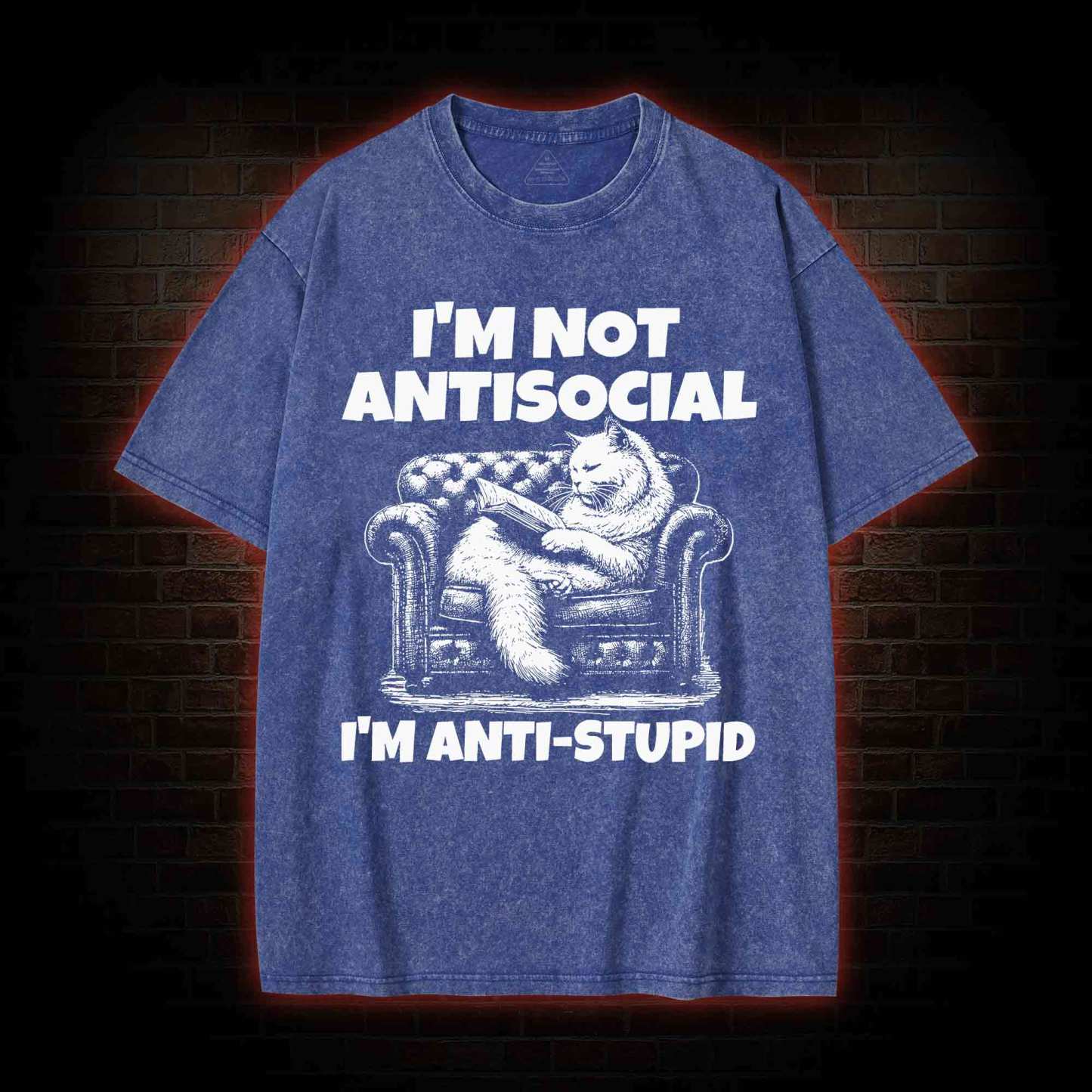 I'm Not Antisocial Washed T-shirt