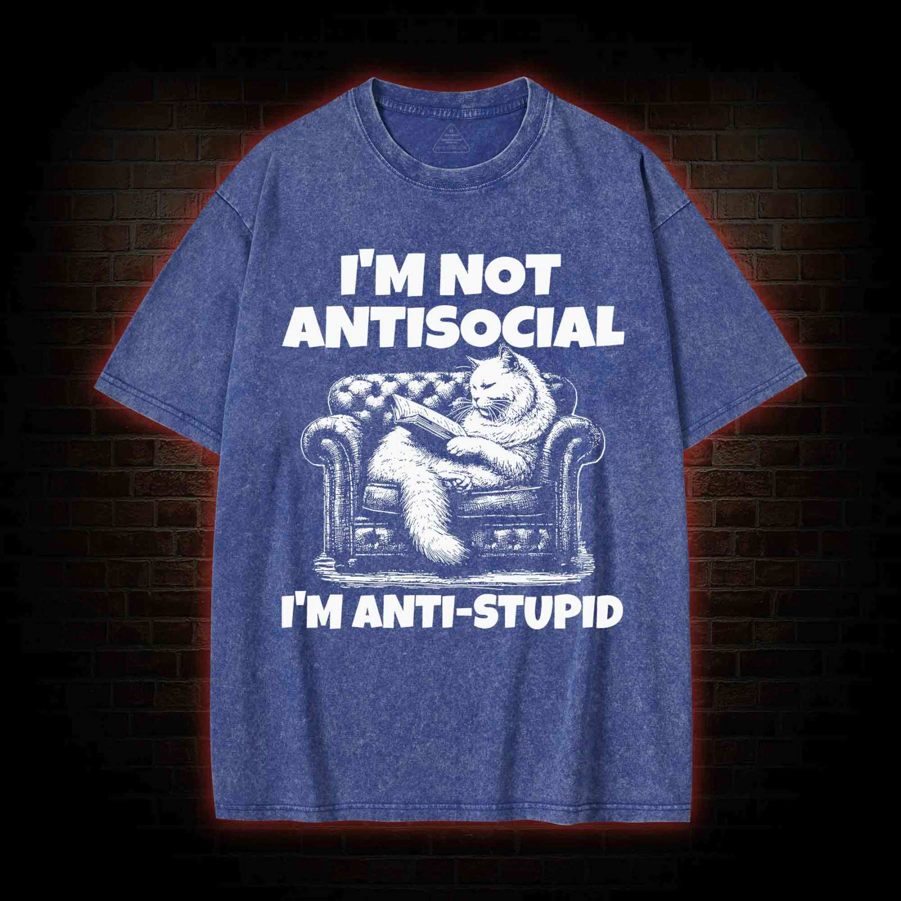 I'm Not Antisocial Washed T-shirt
