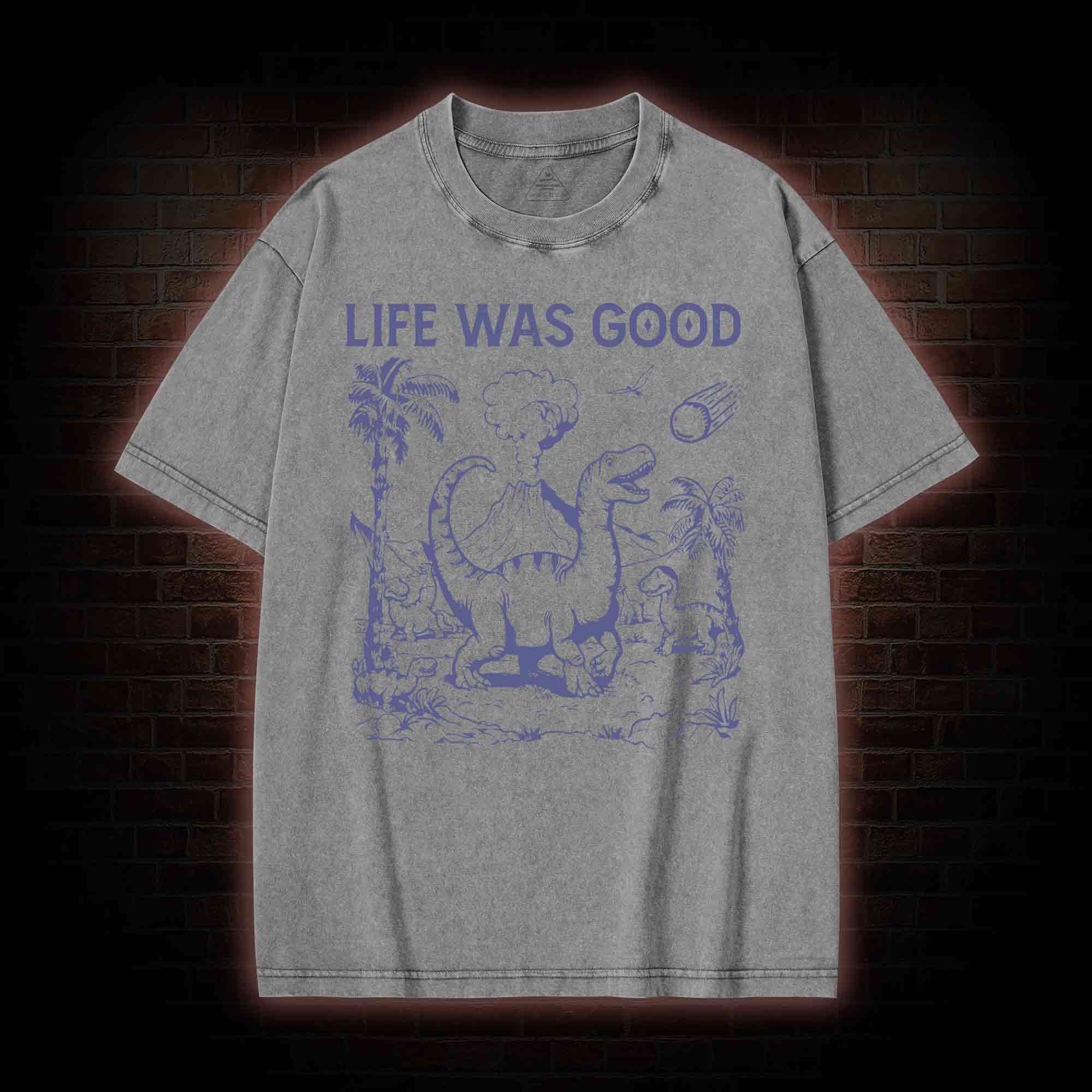 Life Was Good Washed T-shirt