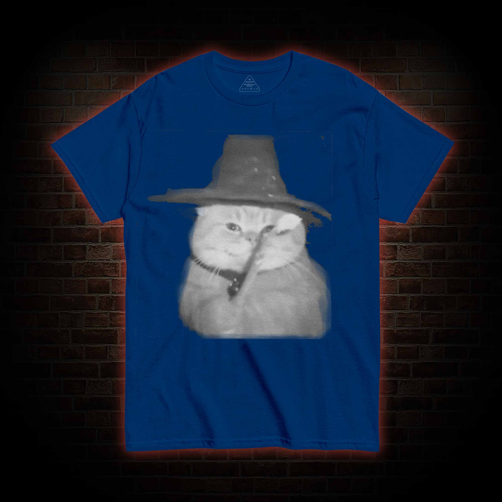 Cat Wizard Meme T-shirt
