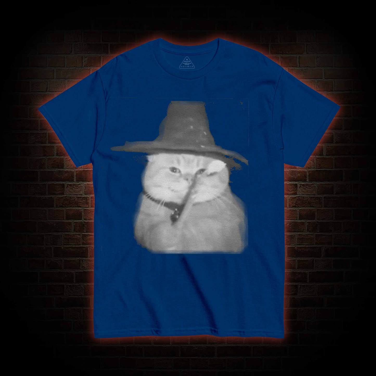 Cat Wizard Meme T-shirt