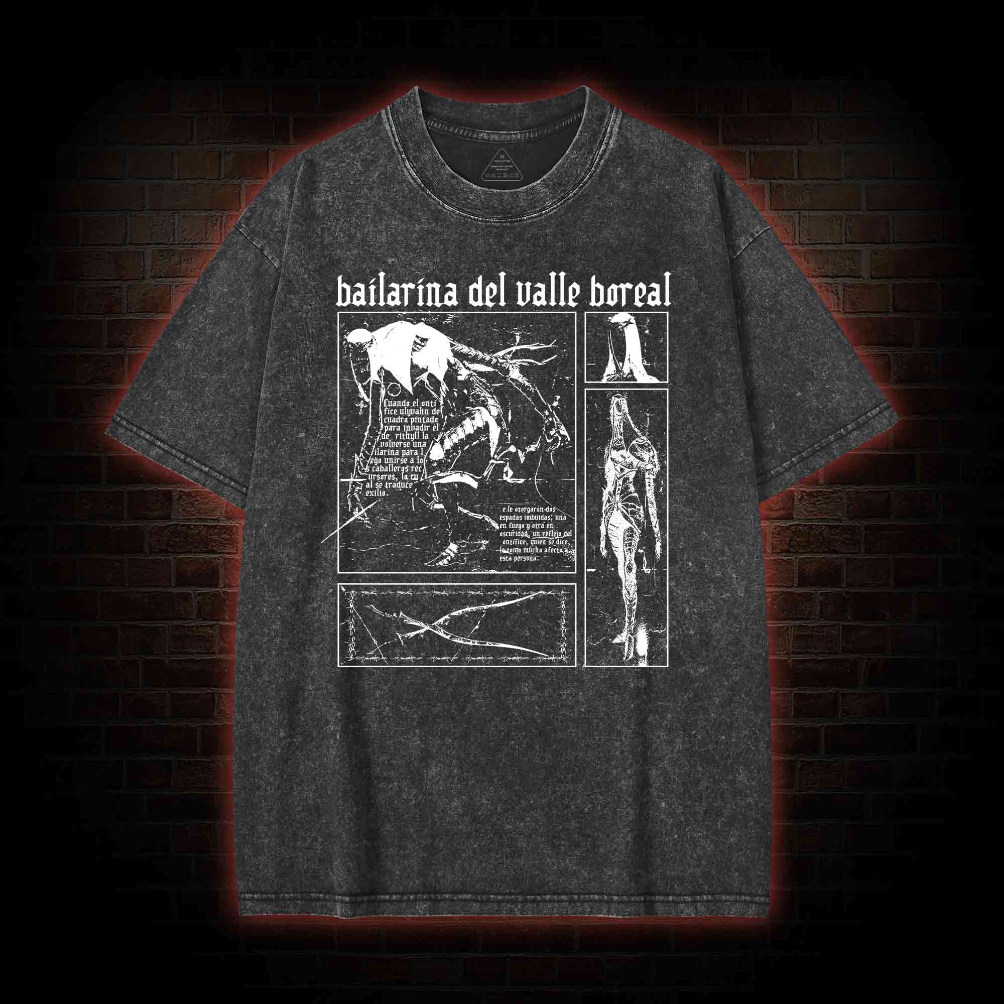 The Dancer of The Valley Washed T-shirt