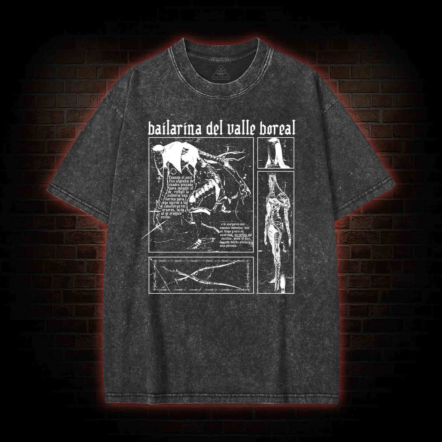 The Dancer of The Valley Washed T-shirt