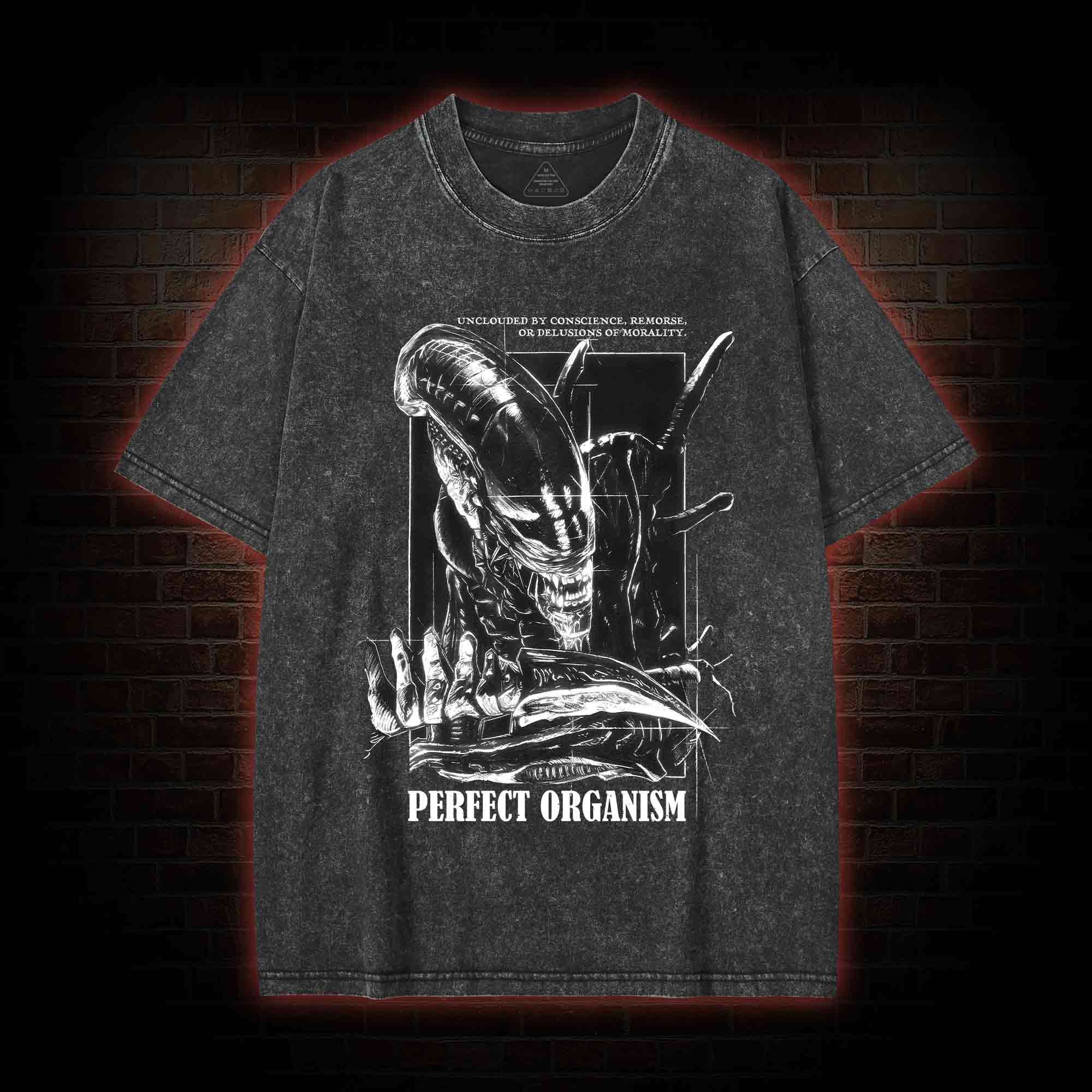 Perfect Organism Retro Washed T-shirt