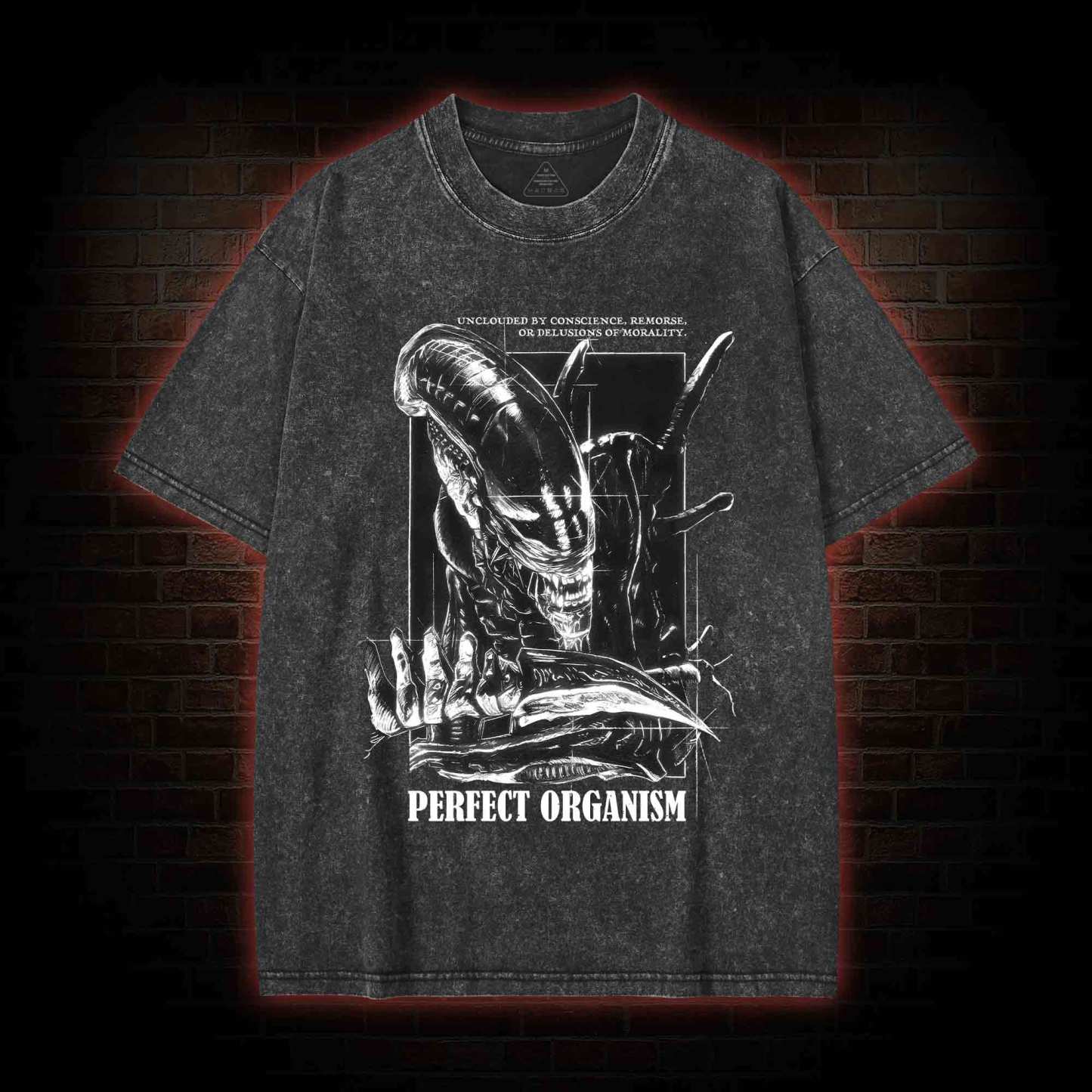 Perfect Organism Retro Washed T-shirt