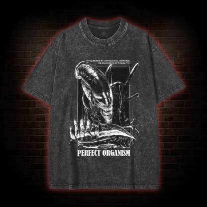 Perfect Organism Retro Washed T-shirt
