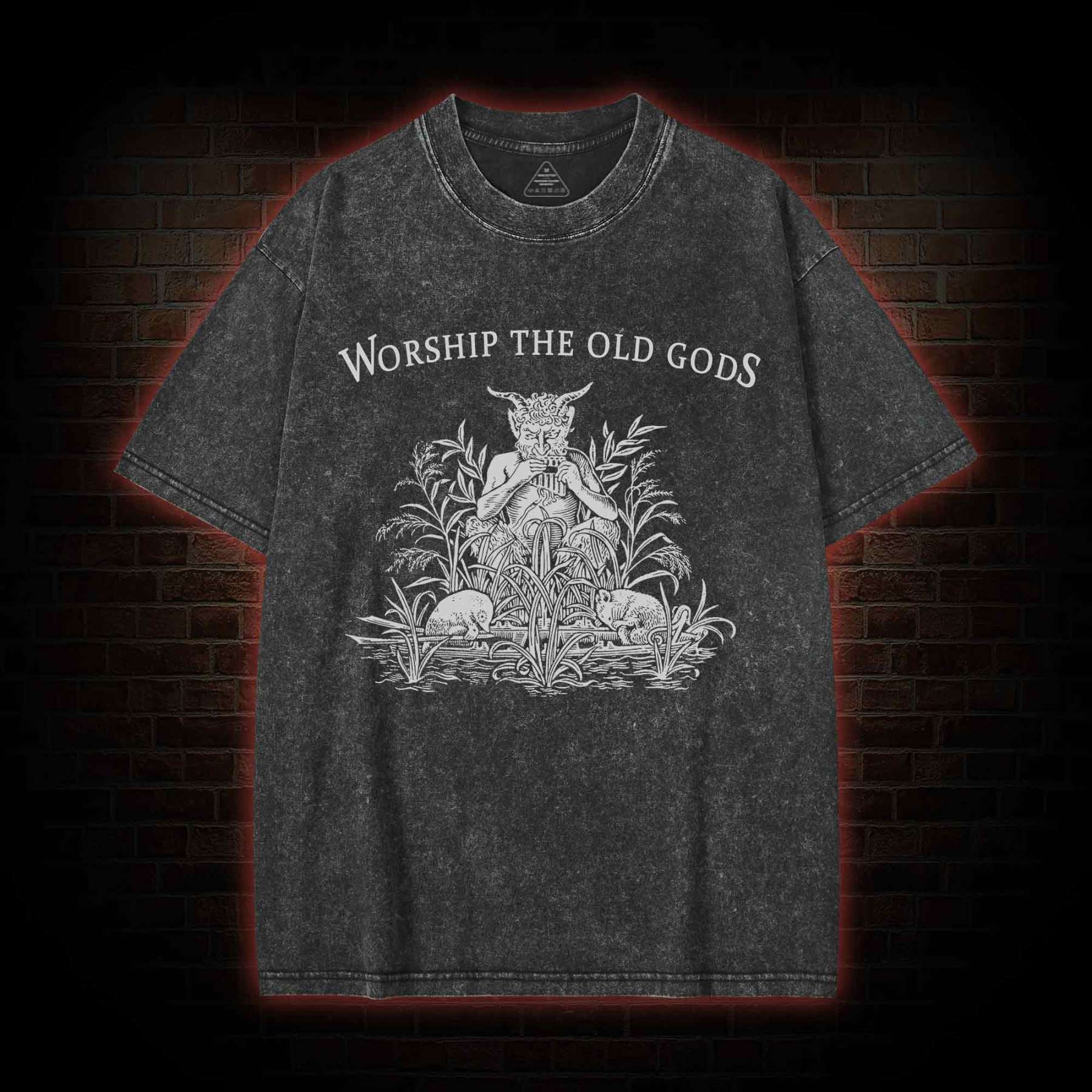 Worship The Old Gods Washed T-shirt